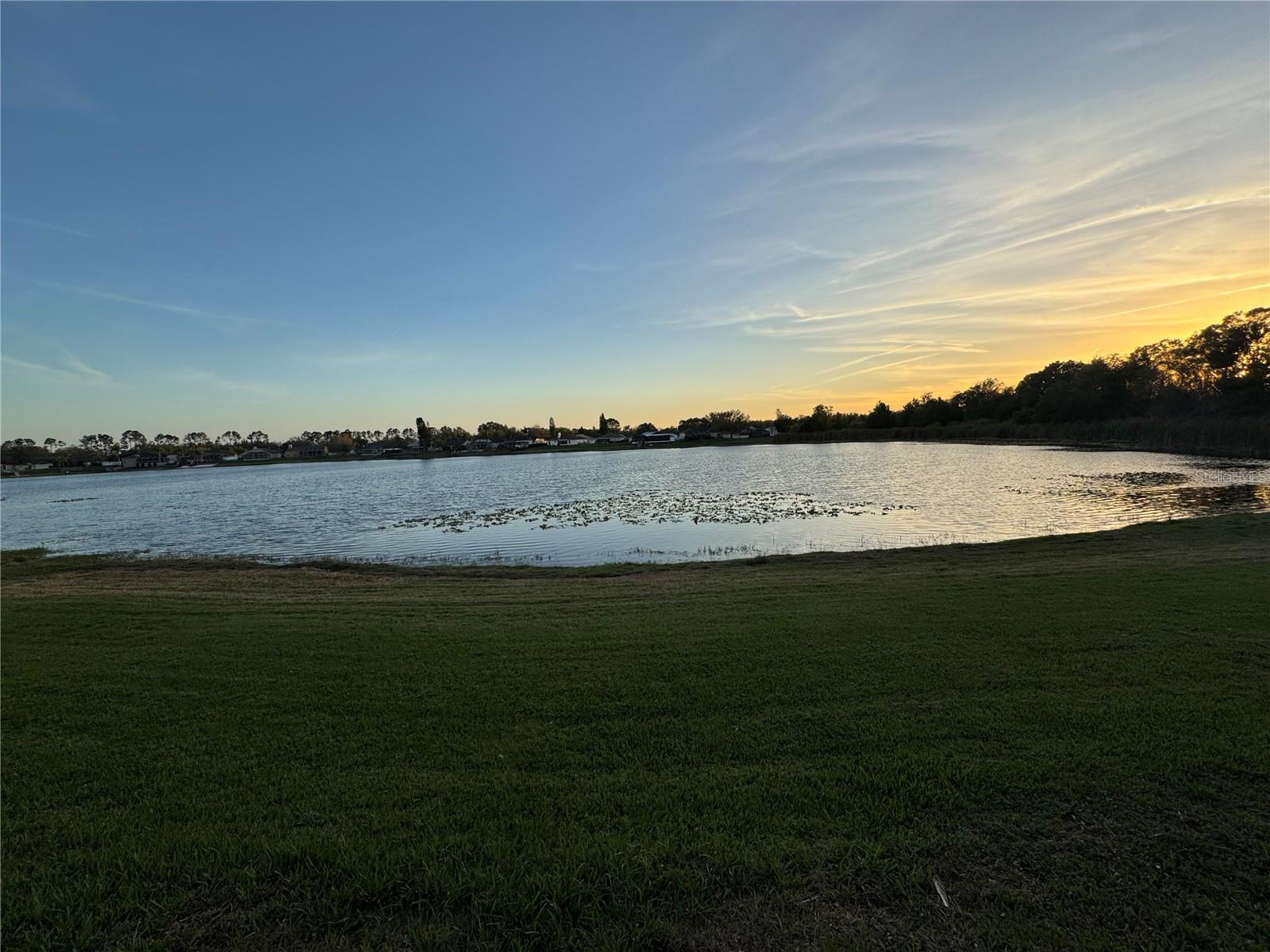 22841 SAINT THOMAS CIR, LUTZ, FL, 33549