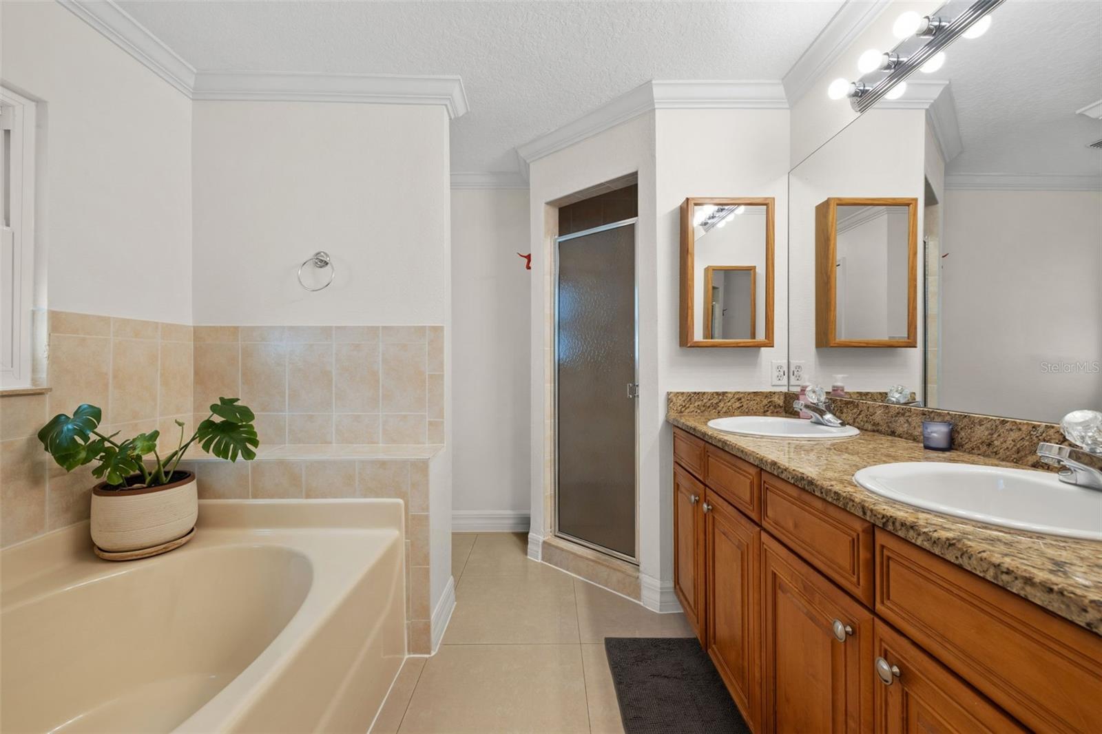 1804 W ERNA DR, TAMPA, FL, 33603