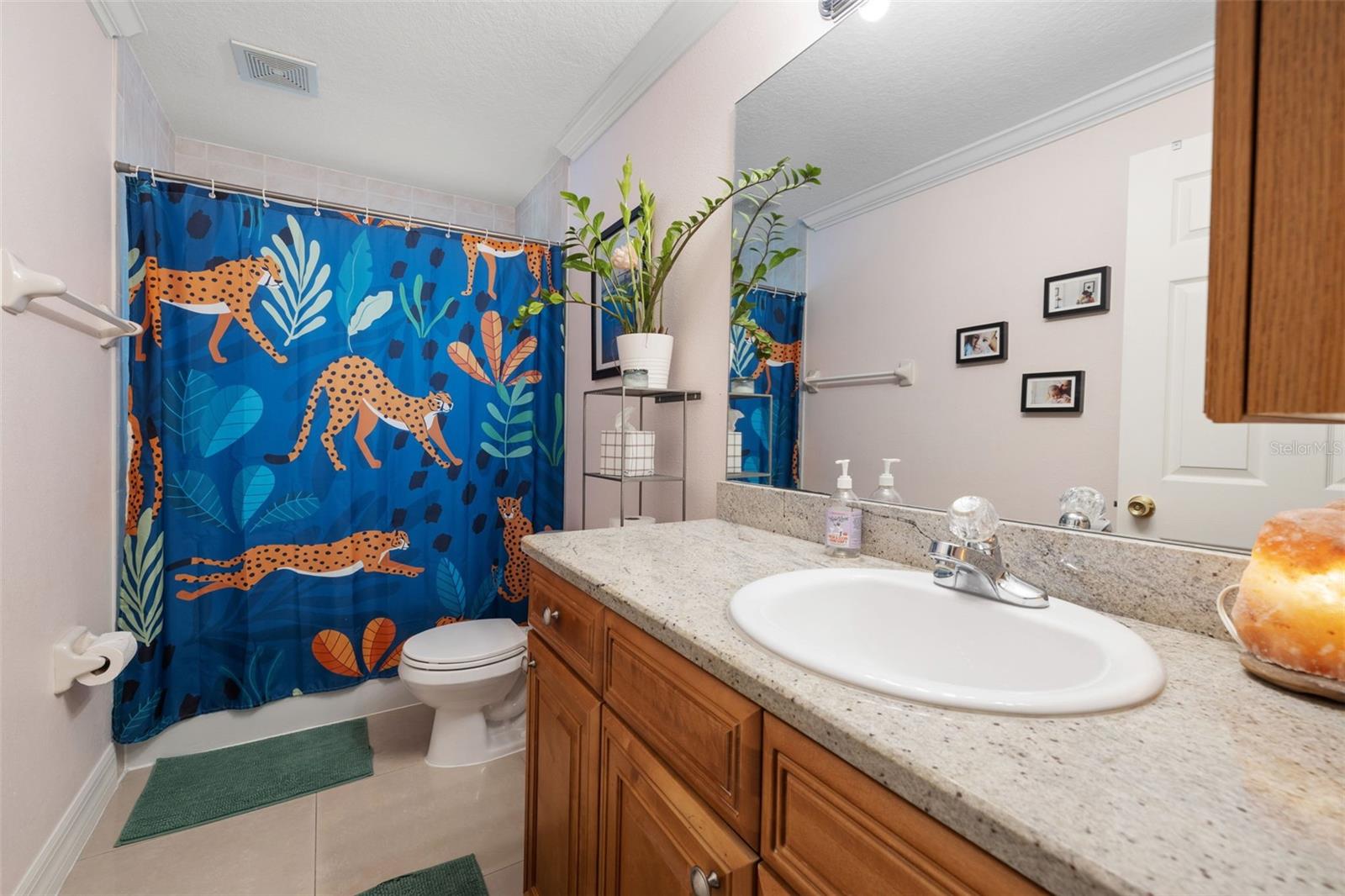1804 W ERNA DR, TAMPA, FL, 33603