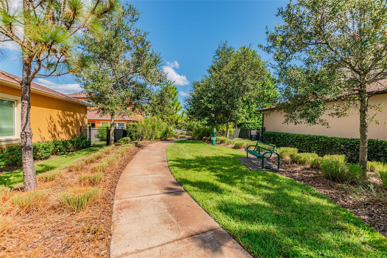 2601 MILFORD BERRY LN, TAMPA, FL, 33618