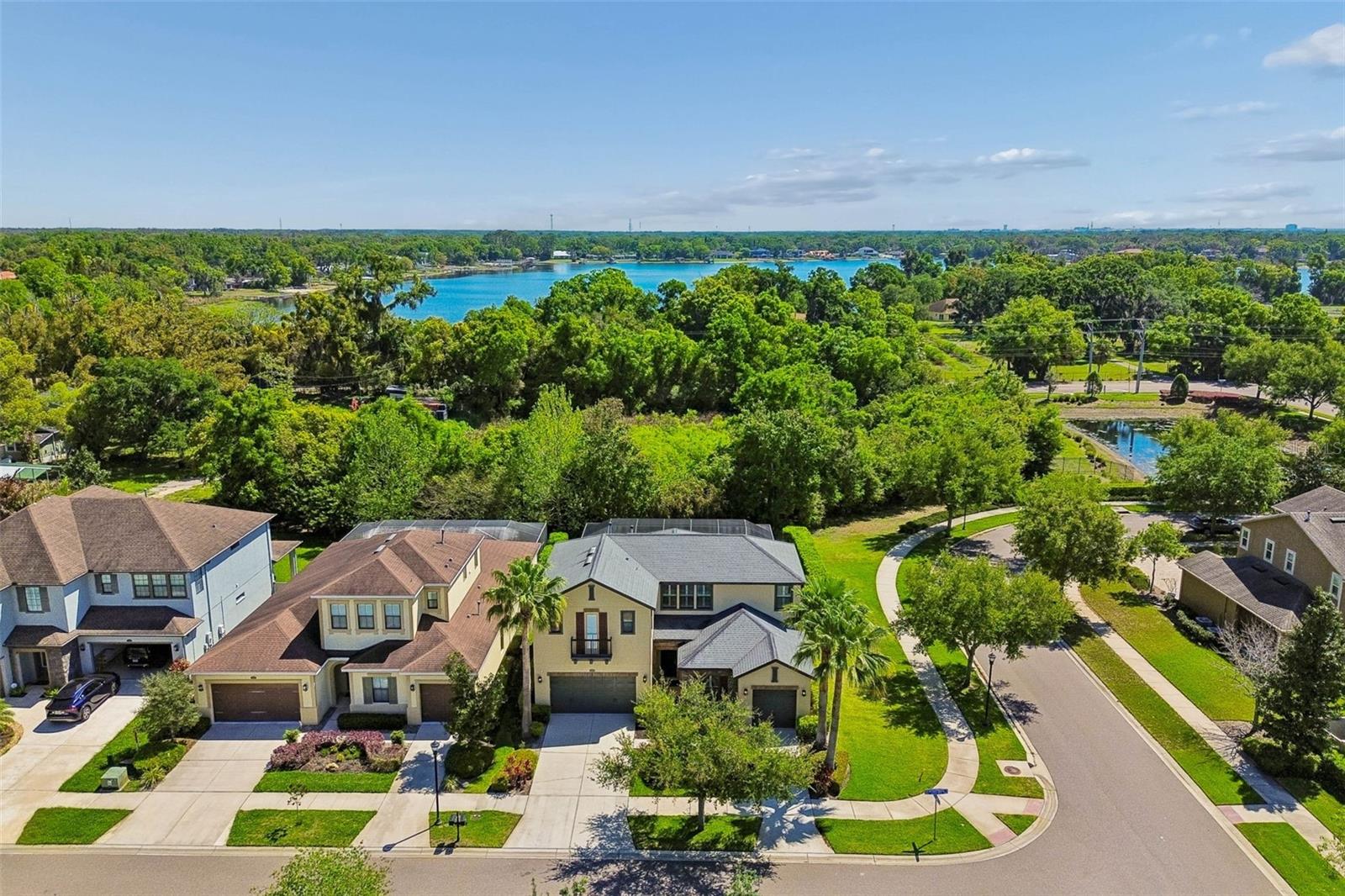 2601 MILFORD BERRY LN, TAMPA, FL, 33618