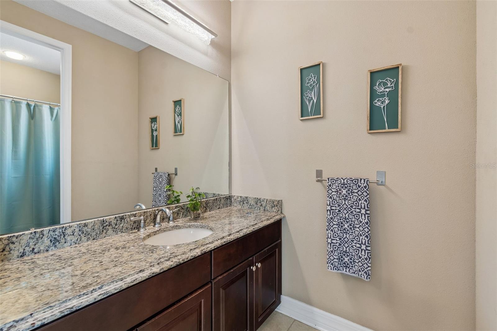 2601 MILFORD BERRY LN, TAMPA, FL, 33618