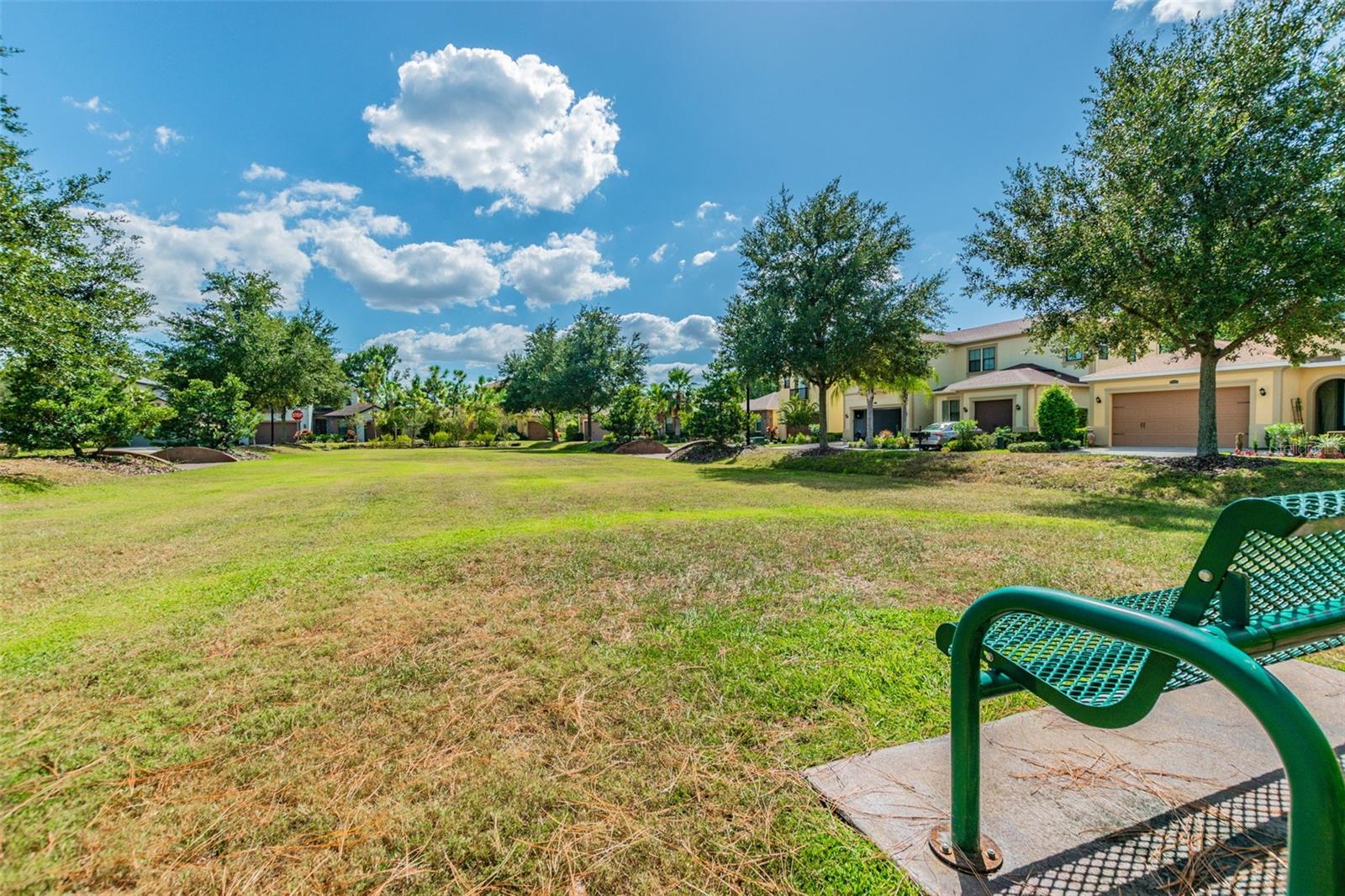 2601 MILFORD BERRY LN, TAMPA, FL, 33618
