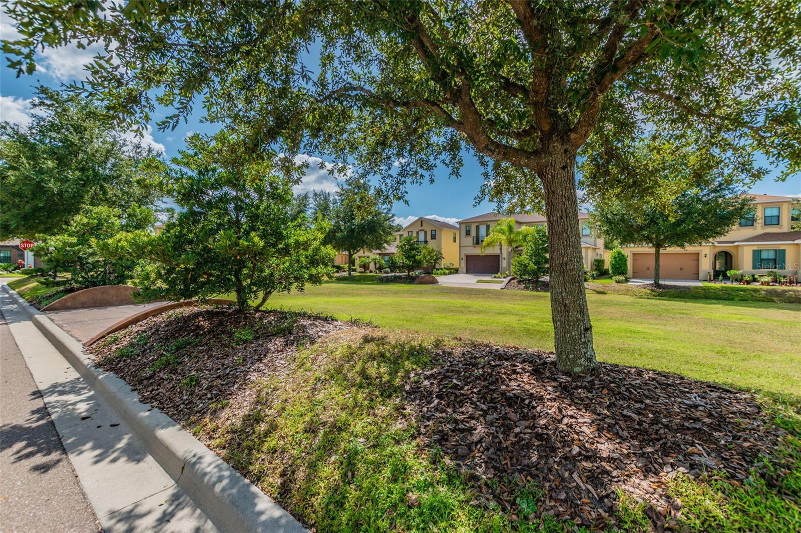 2601 MILFORD BERRY LN, TAMPA, FL, 33618