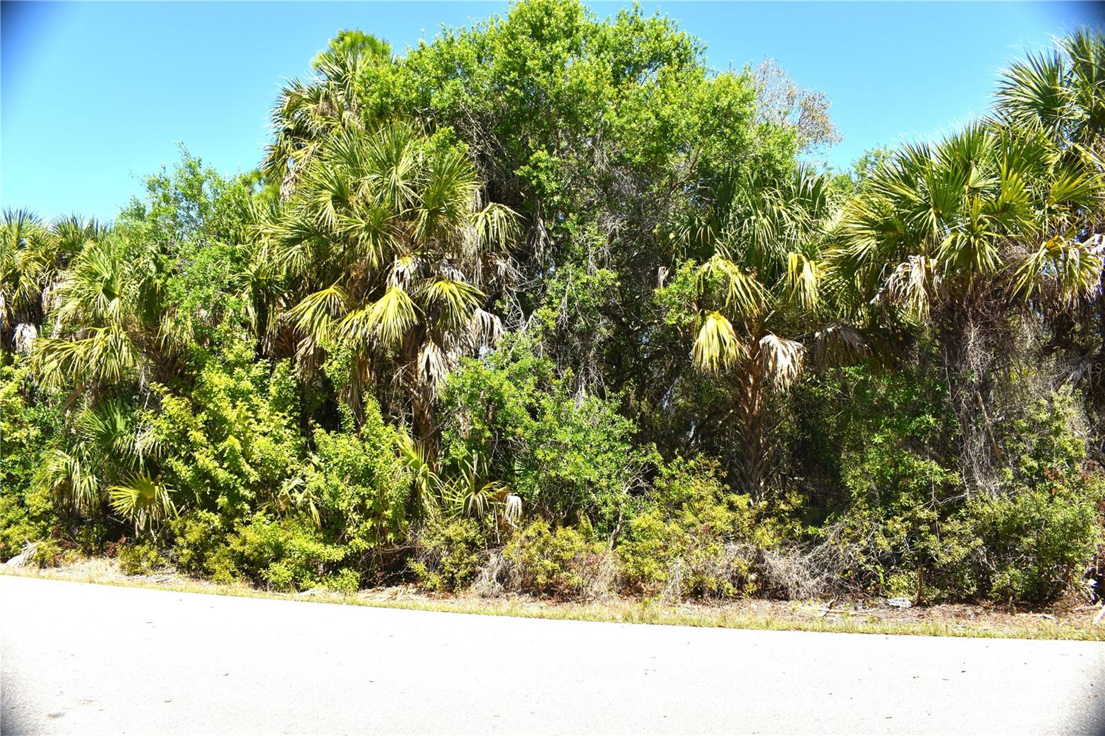 13358 DRUMMOND AVE, PORT CHARLOTTE, FL, 33953