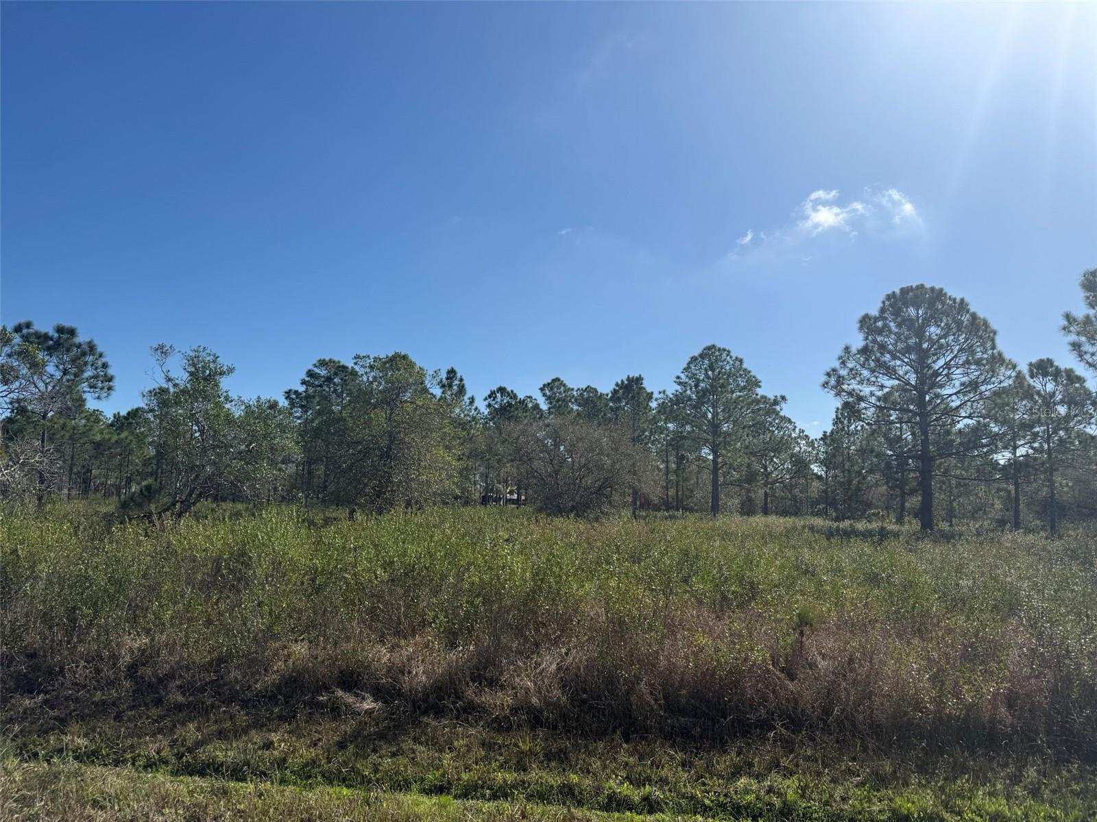 15942 NW 312TH ST, OKEECHOBEE, FL, 34972