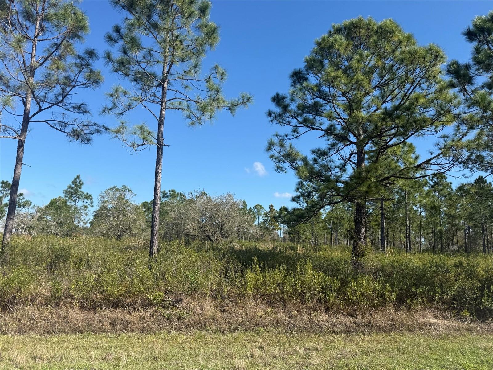 15942 NW 312TH ST, OKEECHOBEE, FL, 34972