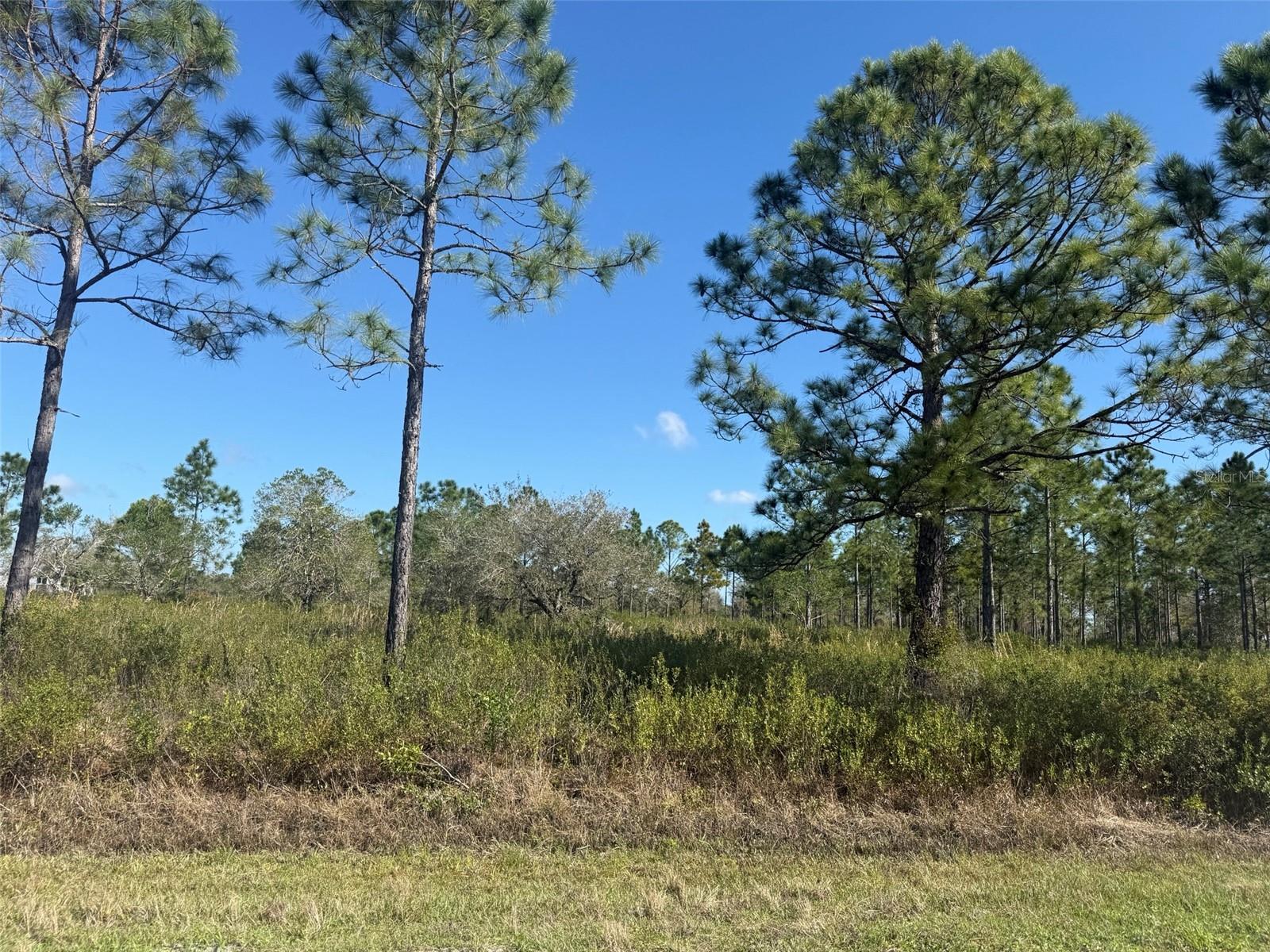 15942 NW 312TH ST, OKEECHOBEE, FL, 34972