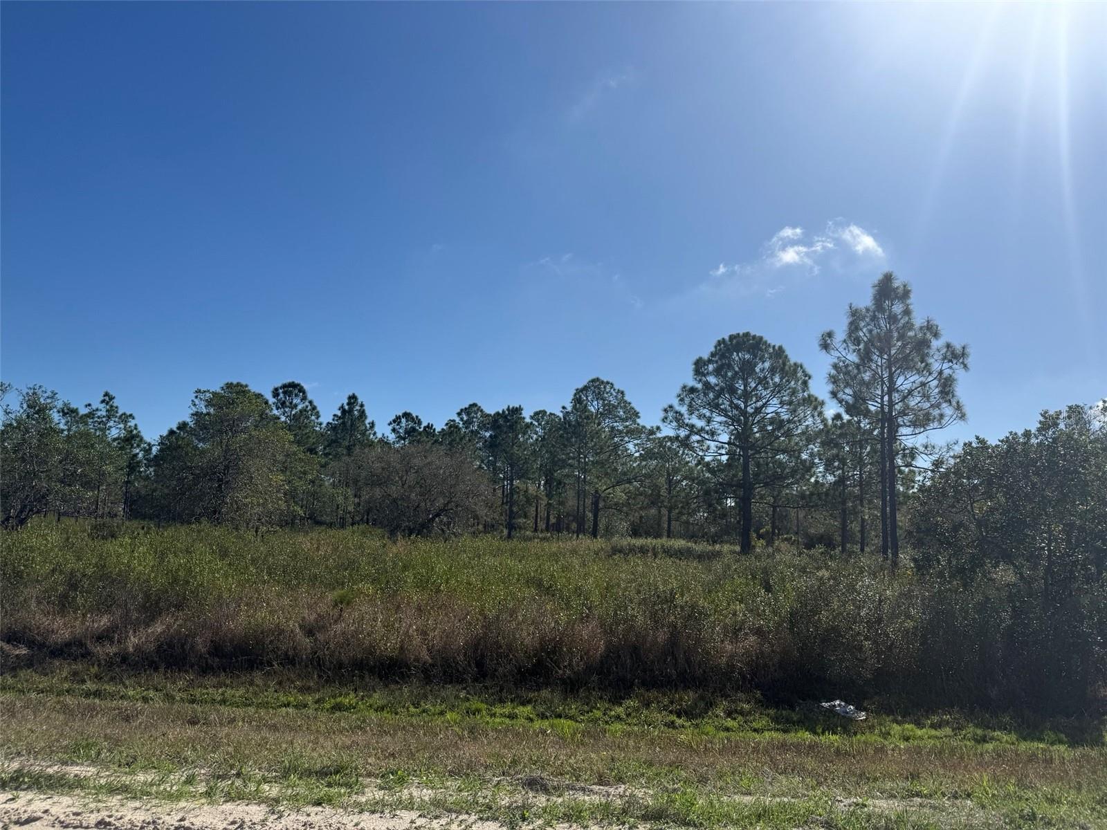 15942 NW 312TH ST, OKEECHOBEE, FL, 34972