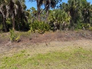 26232 DEER RD, PUNTA GORDA, FL, 33955