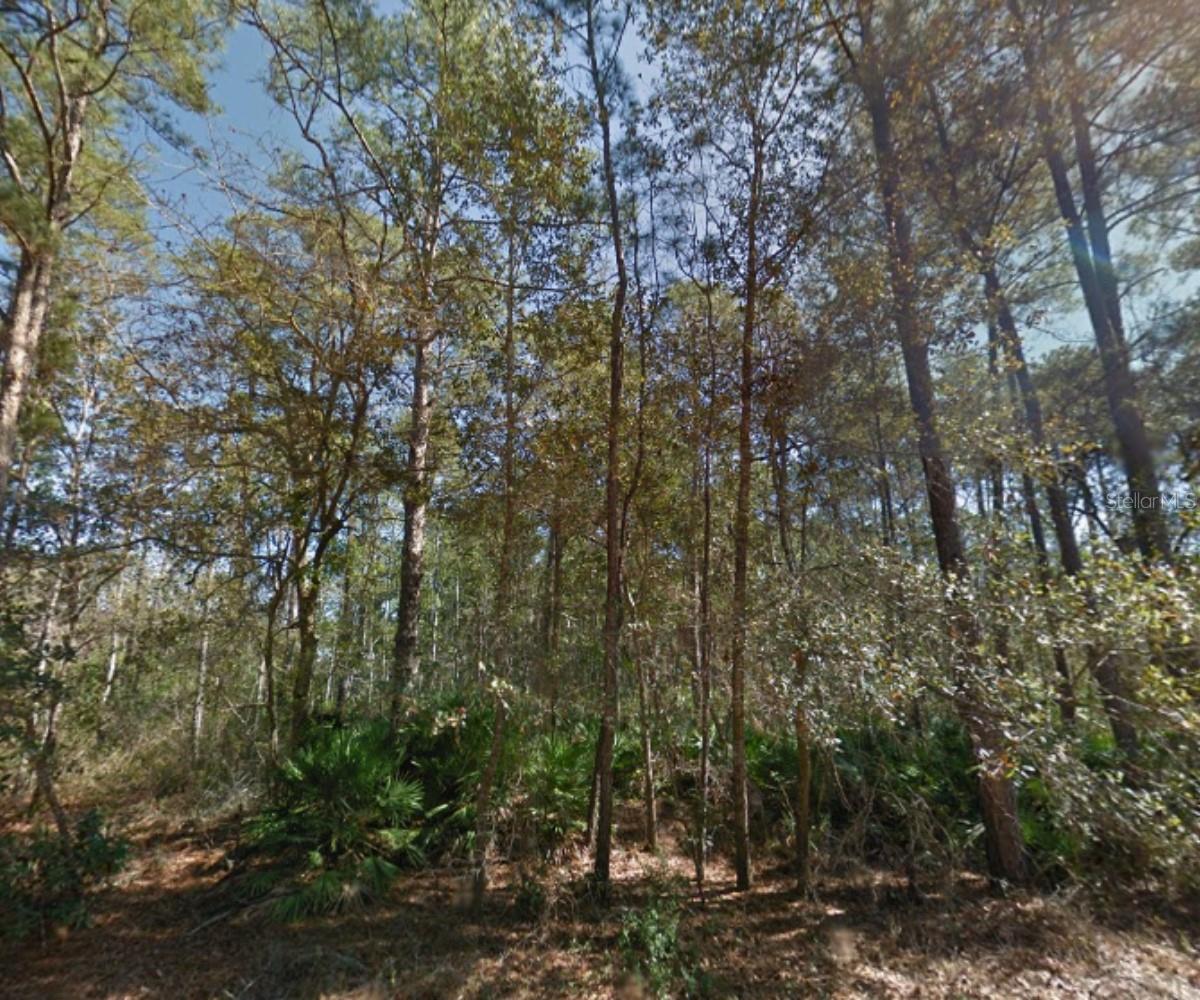112 STACK AVENUE, INTERLACHEN, FL, 32148