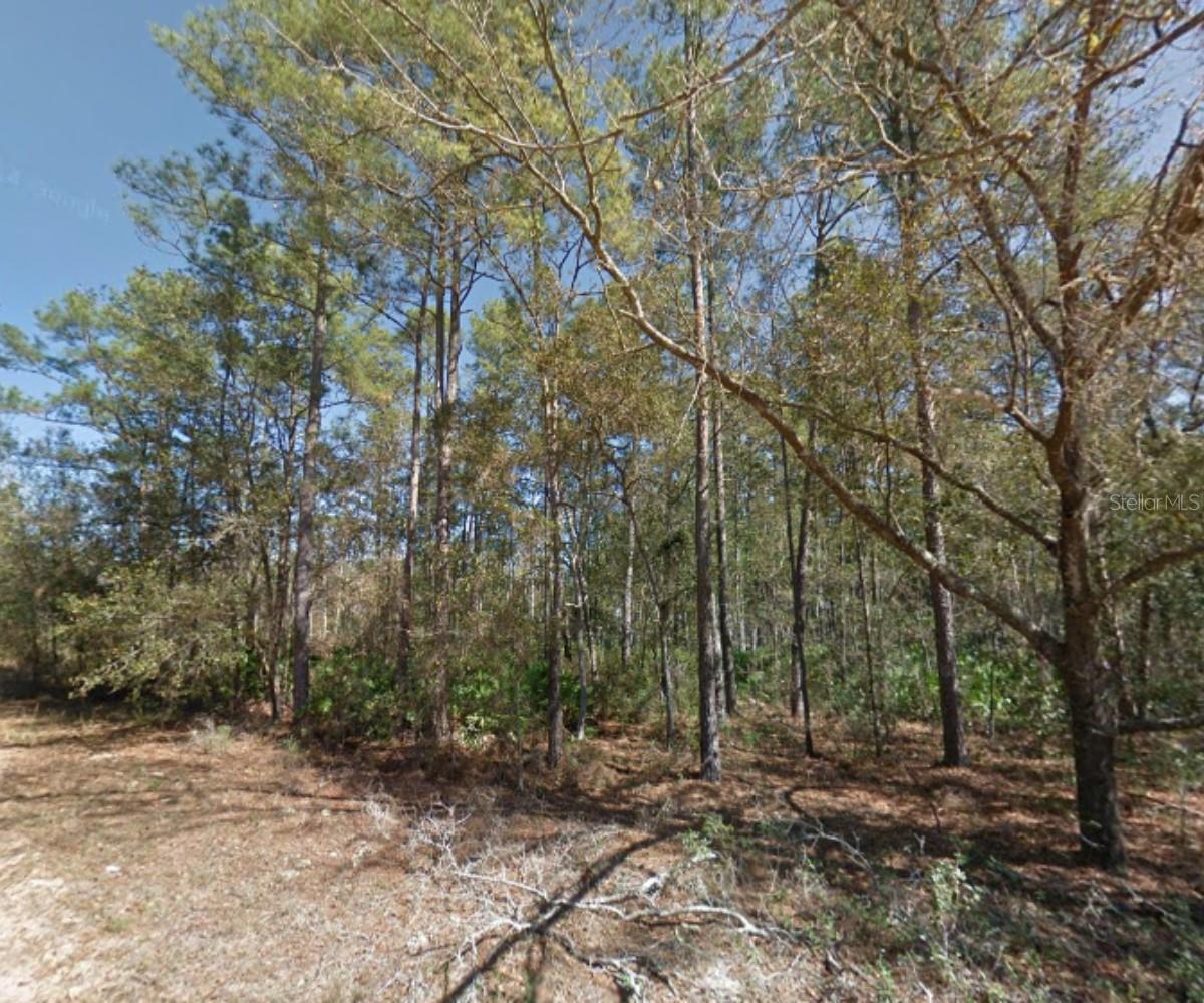 112 STACK AVENUE, INTERLACHEN, FL, 32148