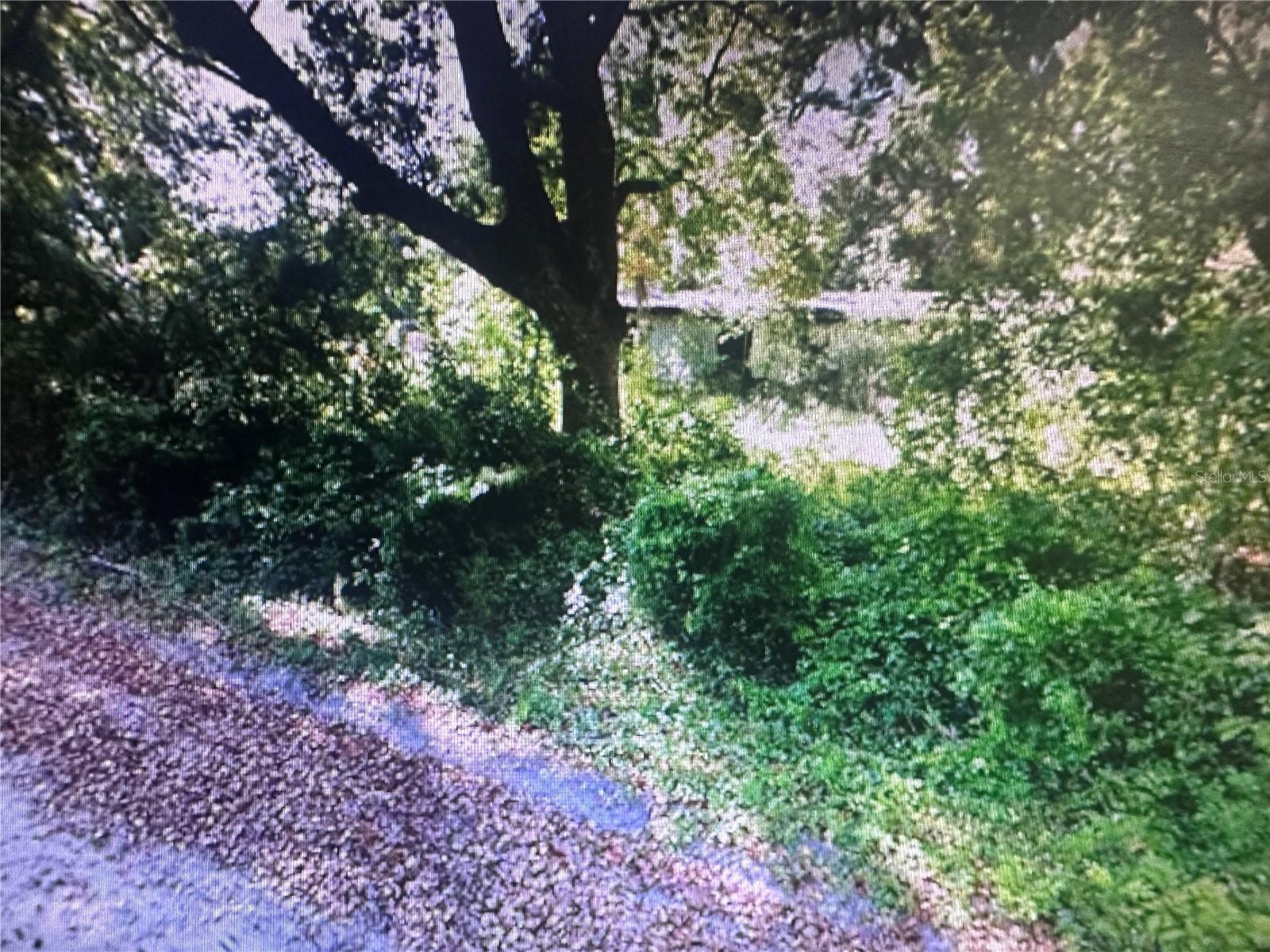 4289 SE 20TH ST, TRENTON, FL, 32693
