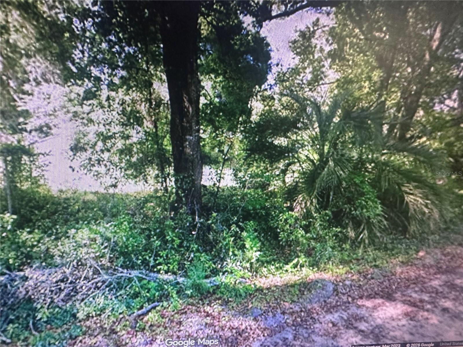 4289 SE 20TH ST, TRENTON, FL, 32693