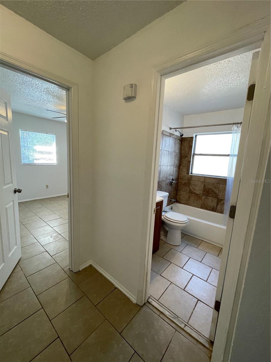 27644 GREEN WILLOW RUN, WESLEY CHAPEL, FL, 33544