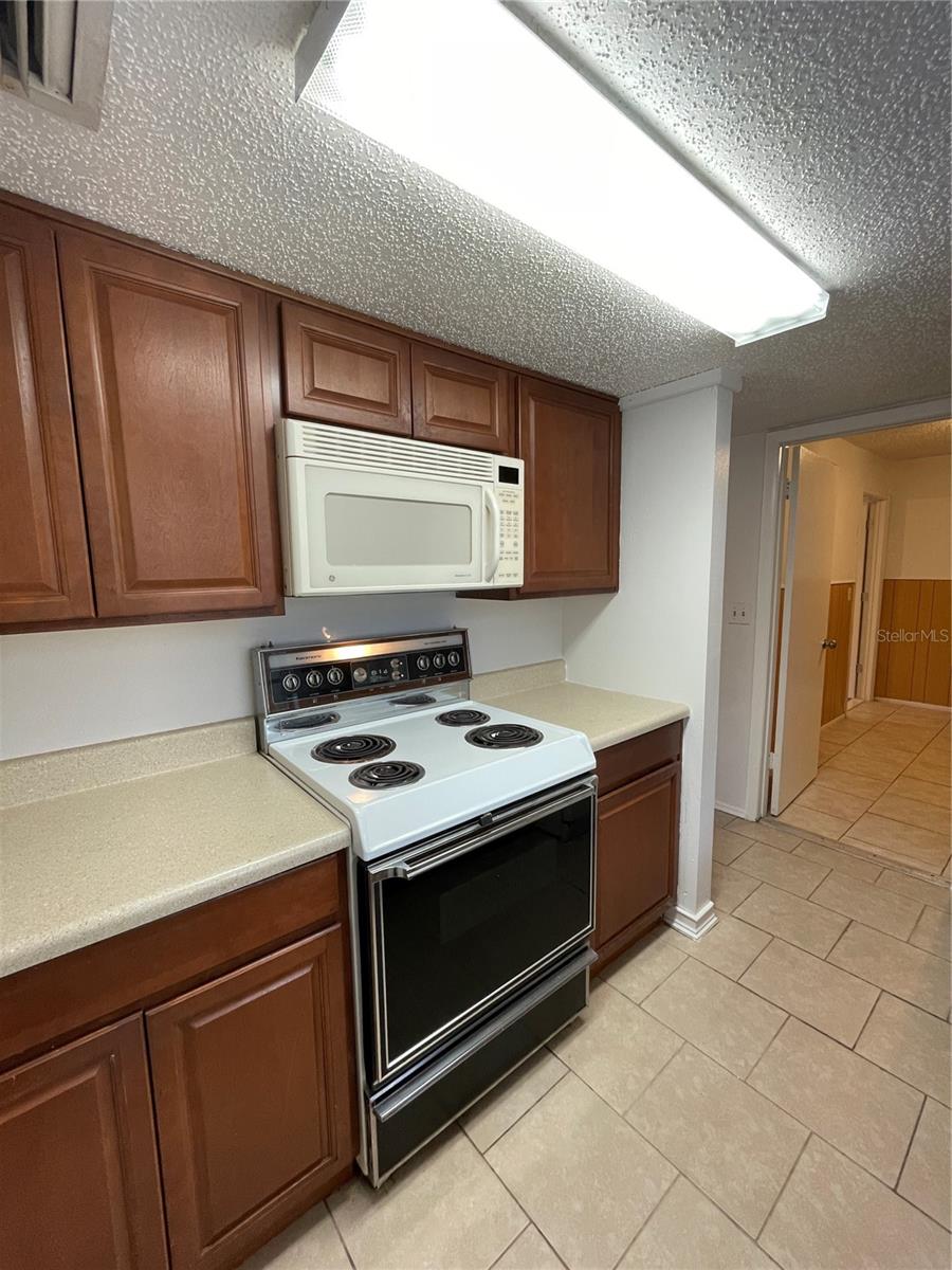 27644 GREEN WILLOW RUN, WESLEY CHAPEL, FL, 33544