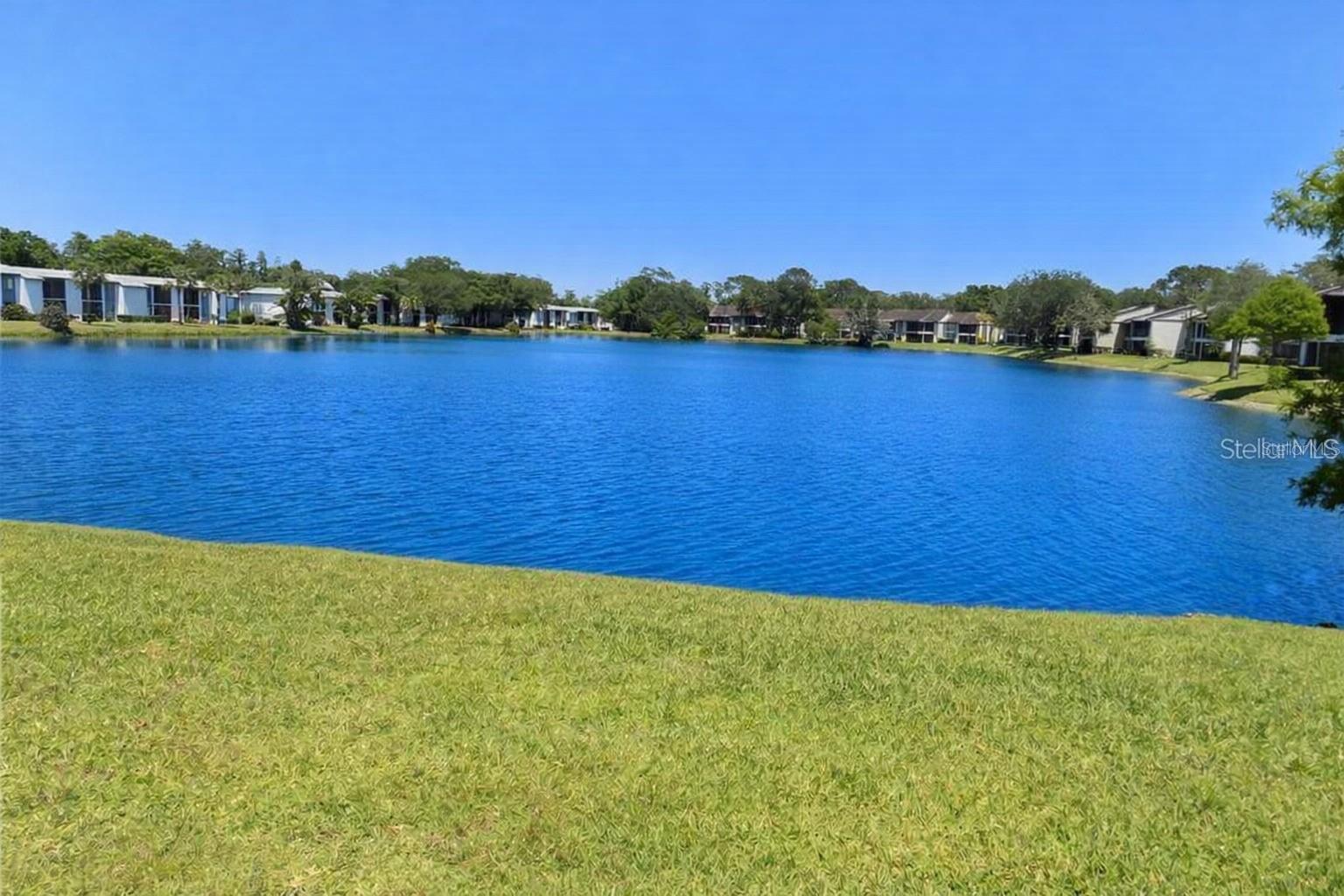 303 WOODLAKE WYNDE, OLDSMAR, FL, 34677