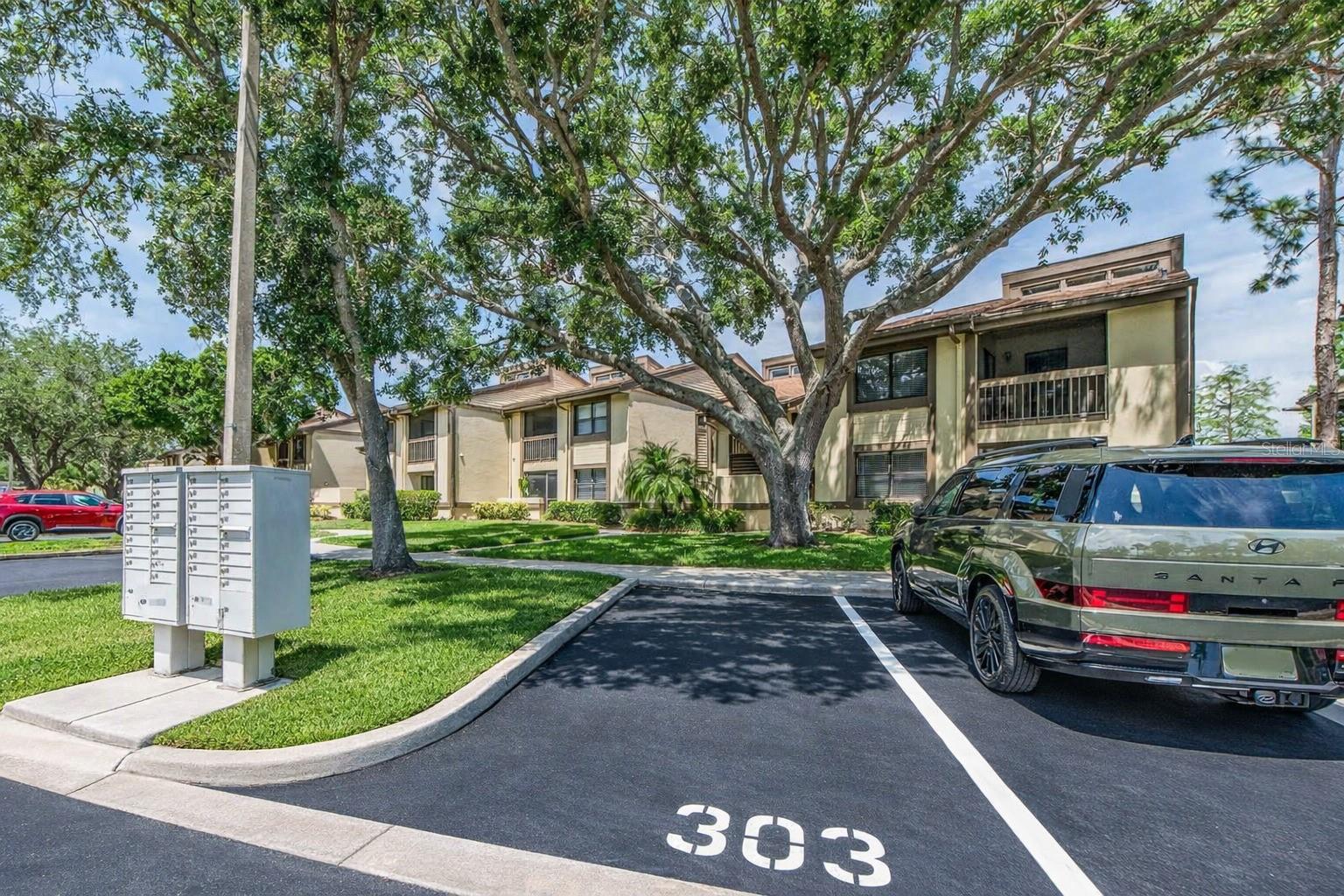 303 WOODLAKE WYNDE, OLDSMAR, FL, 34677