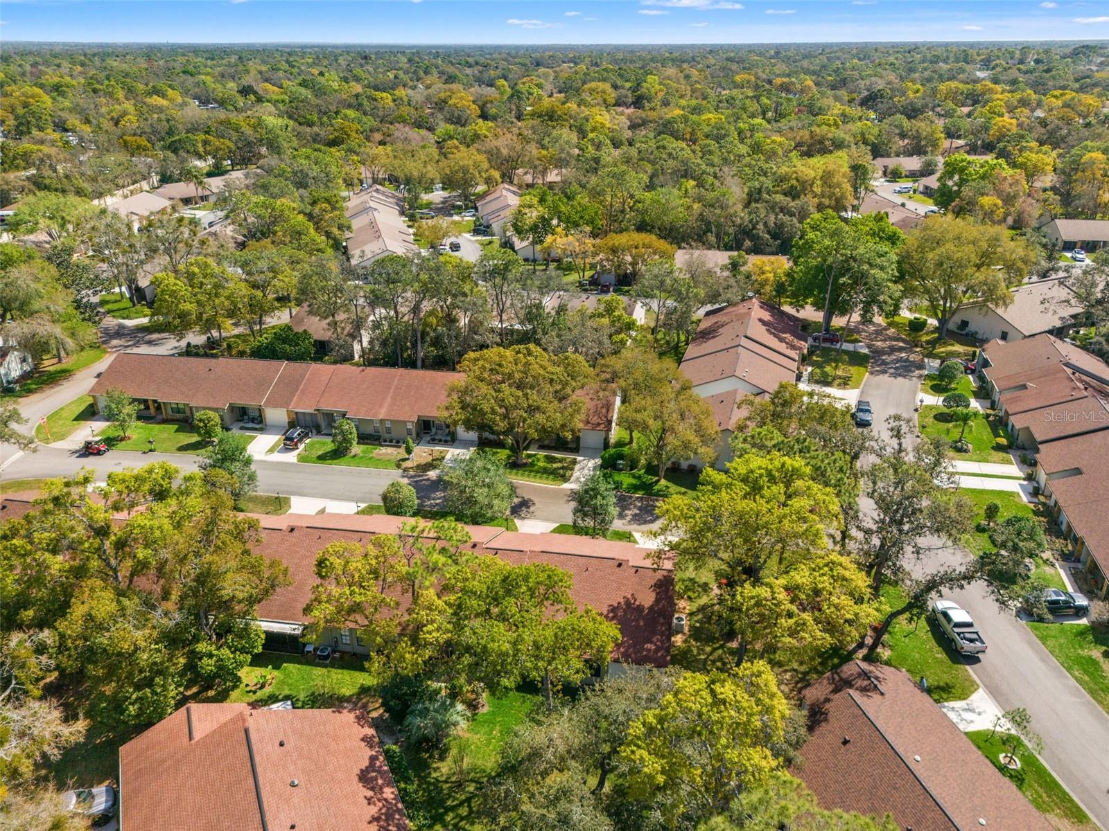 3101 LYNX LN, SPRING HILL, FL, 34606