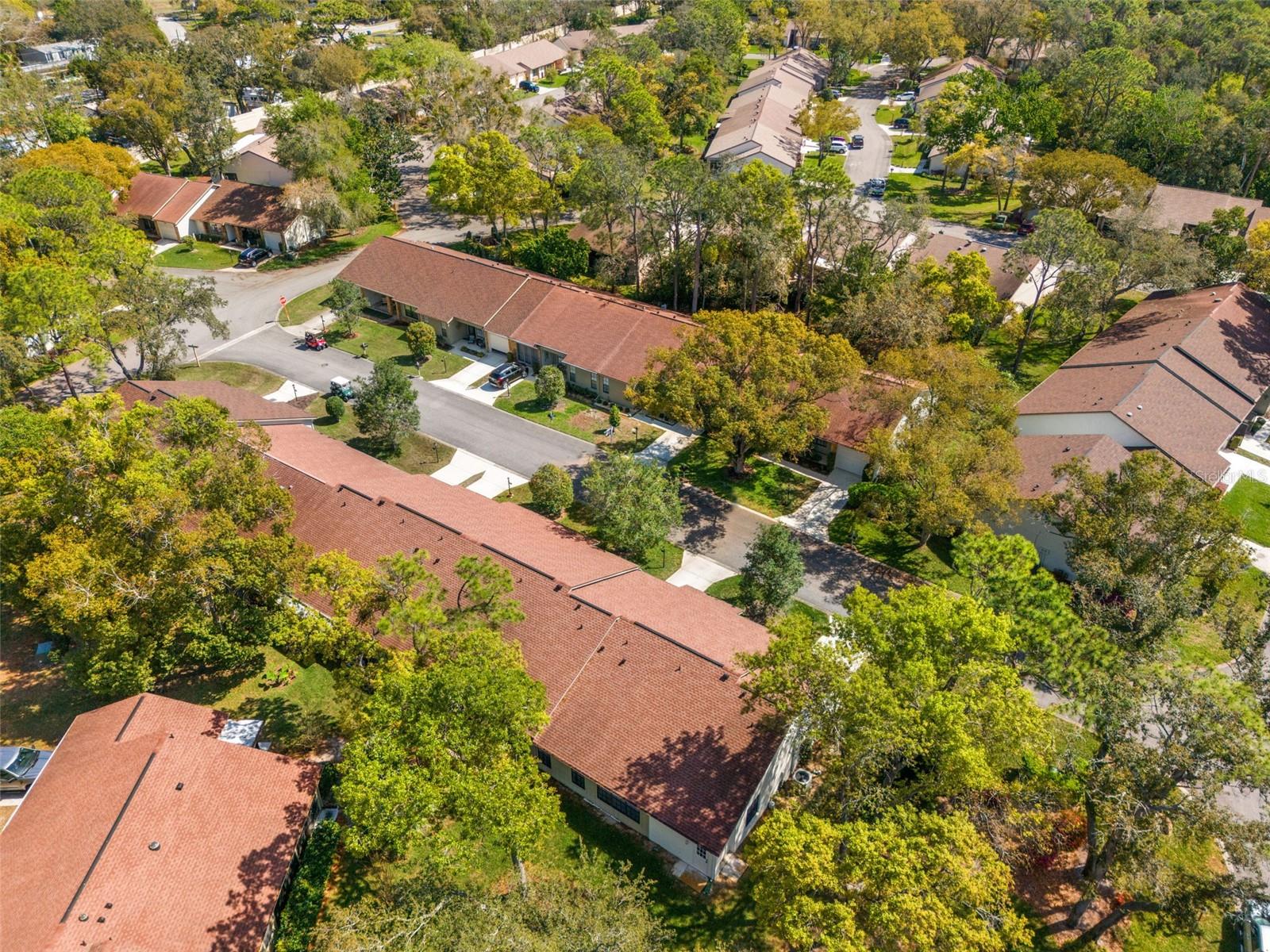 3101 LYNX LN, SPRING HILL, FL, 34606