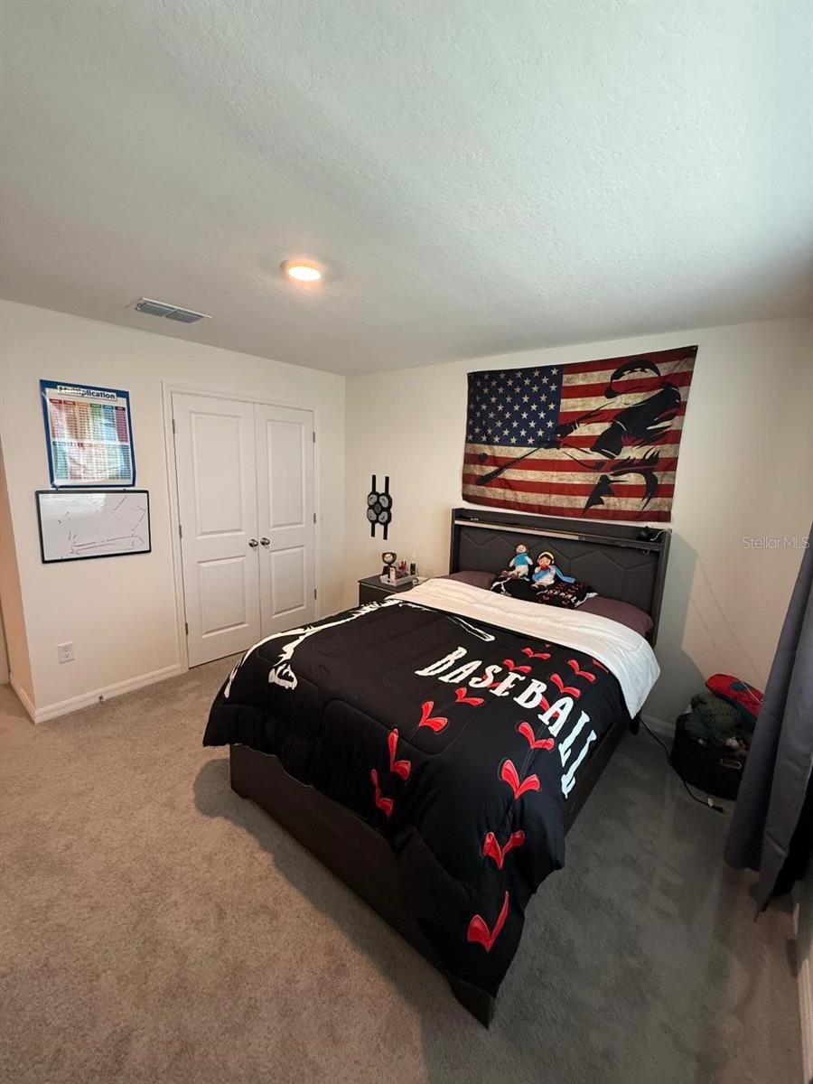 10662 CHIPPEWA DR, PARRISH, FL, 34219