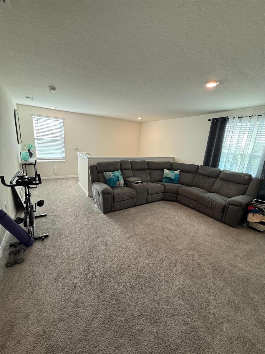 10662 CHIPPEWA DR, PARRISH, FL, 34219