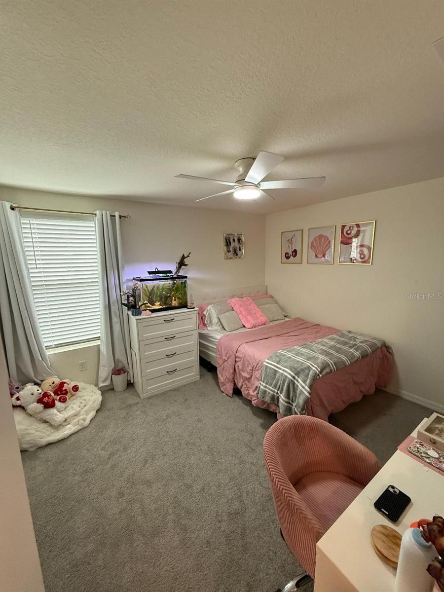 10662 CHIPPEWA DR, PARRISH, FL, 34219