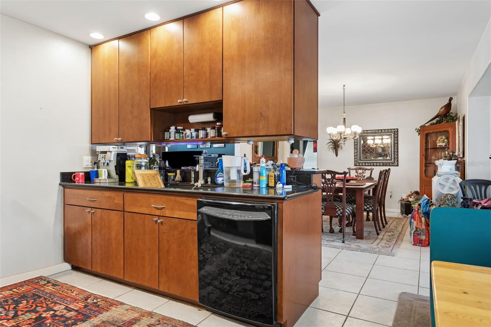 3025 SAMARA DR, TAMPA, FL, 33618