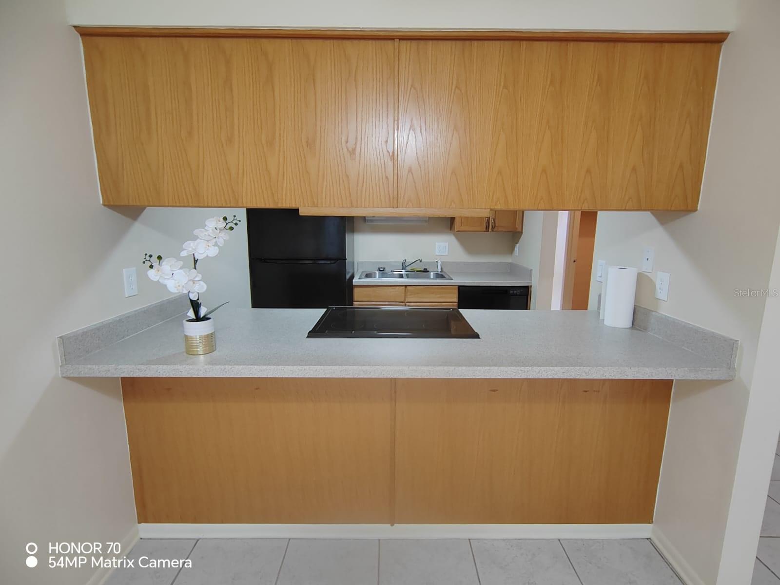 1044 82ND TER N #1044D, ST PETERSBURG, FL, 33702