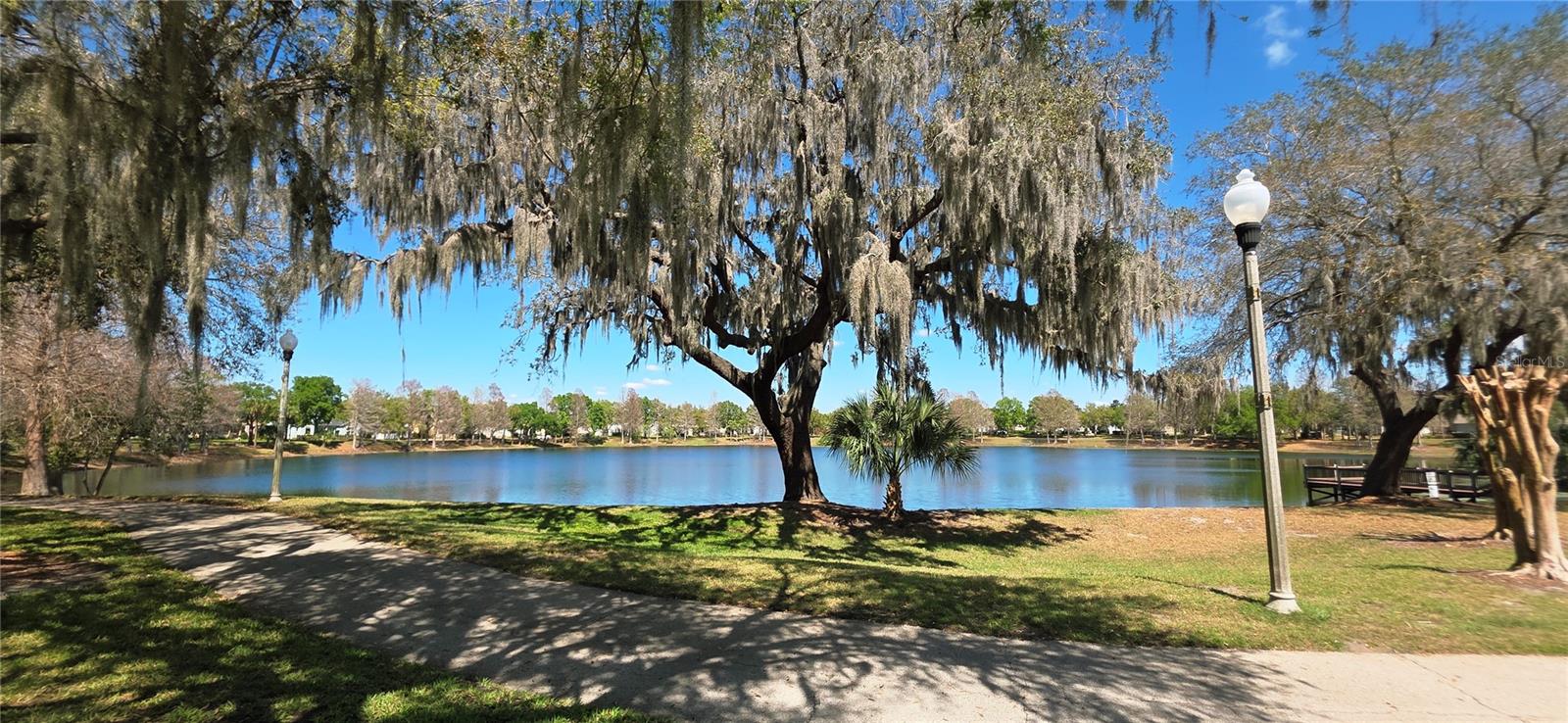 14439 BLUEBIRD PARK RD, WINDERMERE, FL, 34786