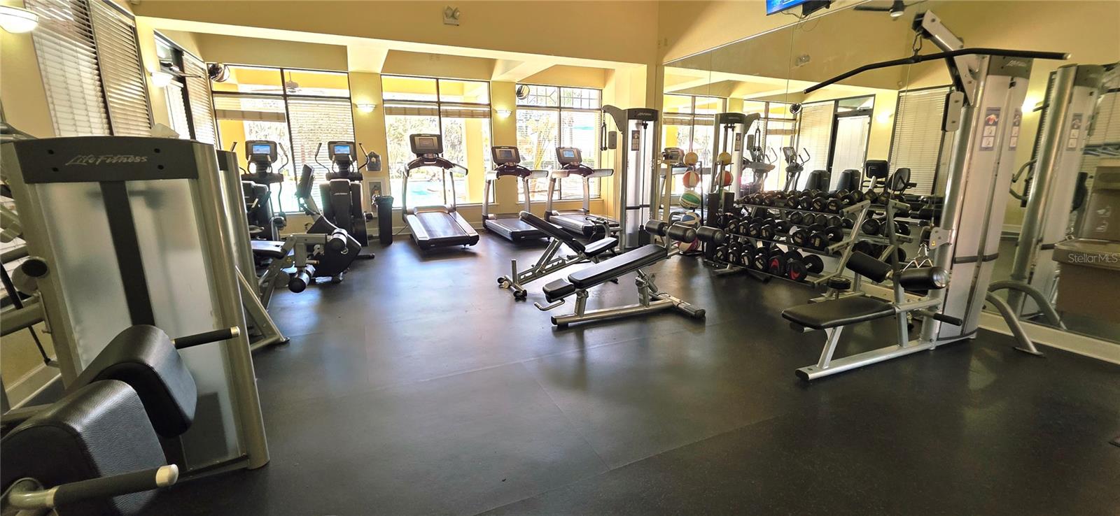 14439 BLUEBIRD PARK RD, WINDERMERE, FL, 34786