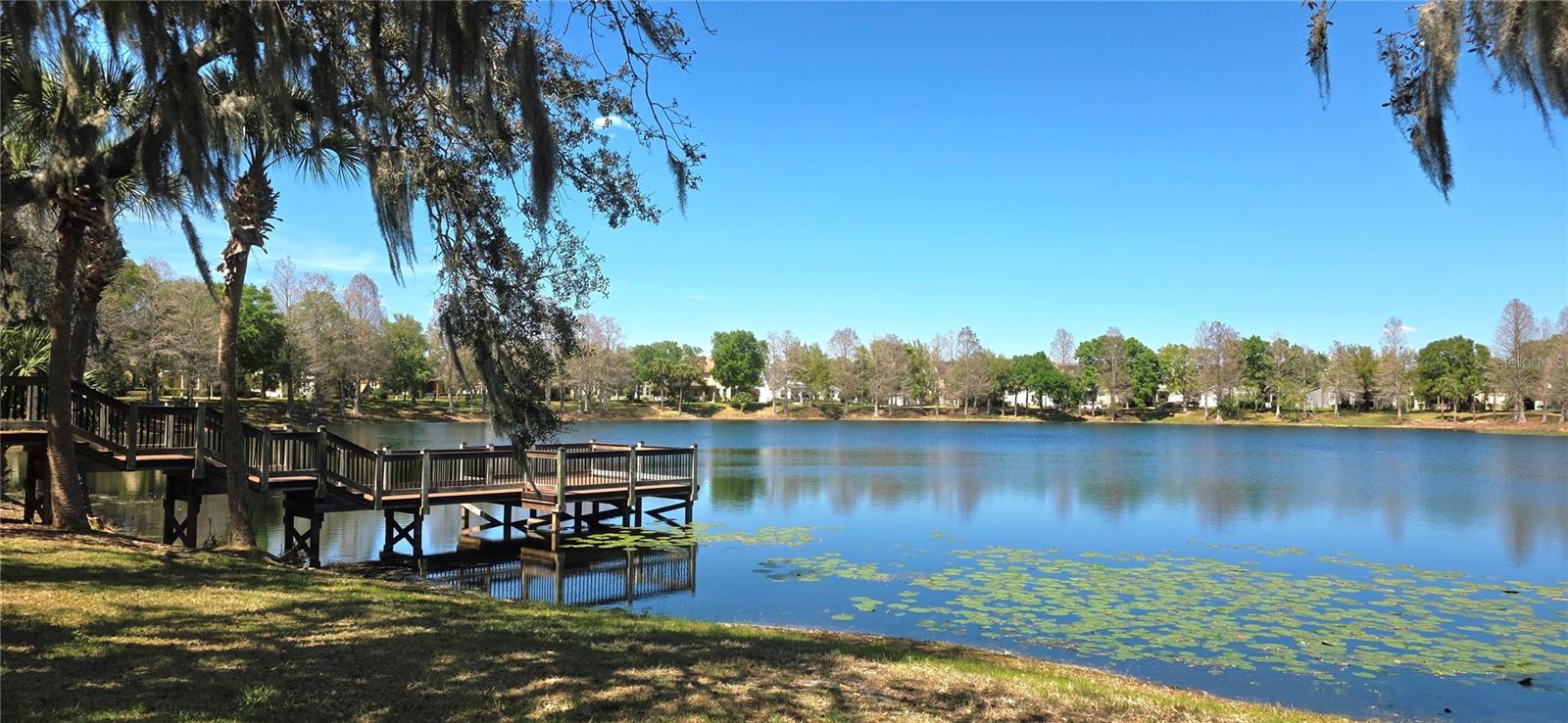 14439 BLUEBIRD PARK RD, WINDERMERE, FL, 34786