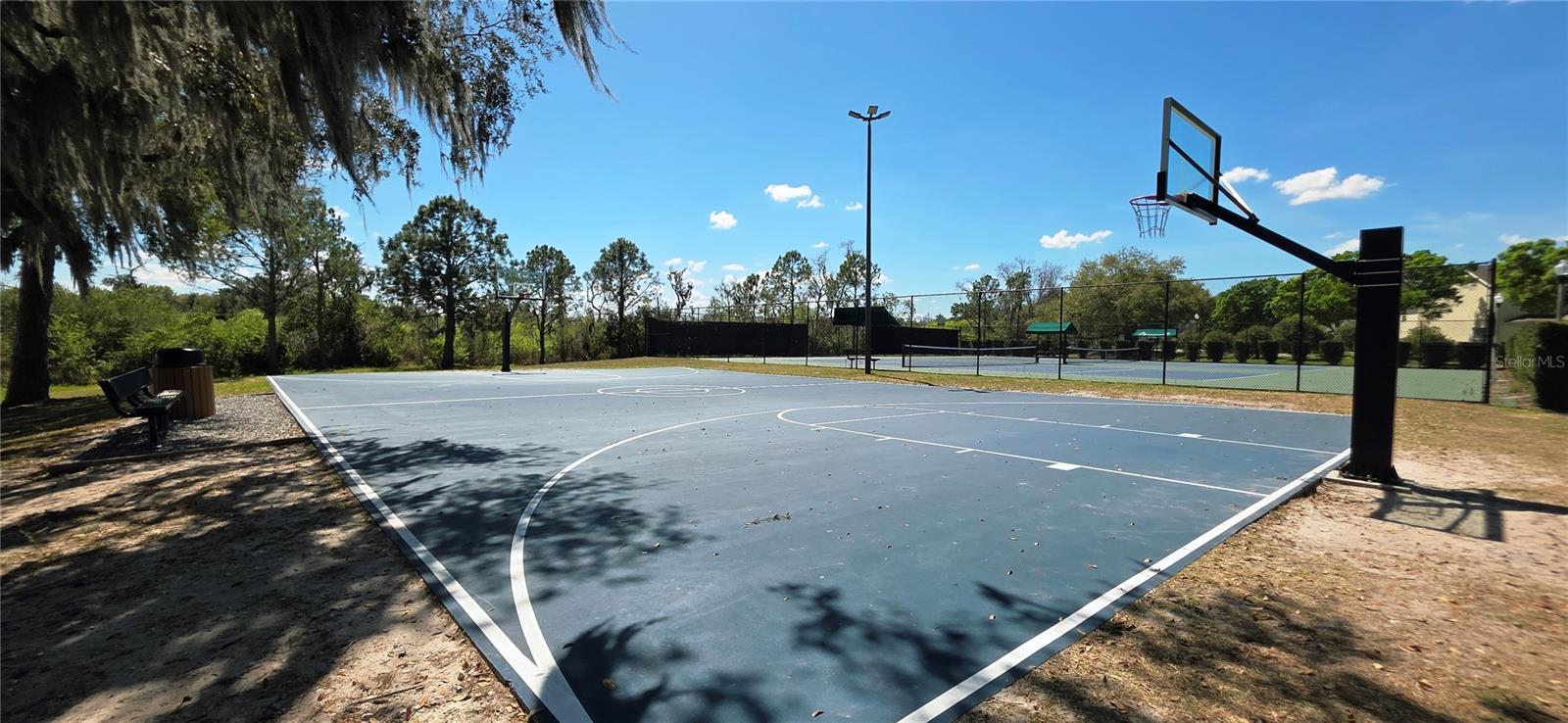 14439 BLUEBIRD PARK RD, WINDERMERE, FL, 34786