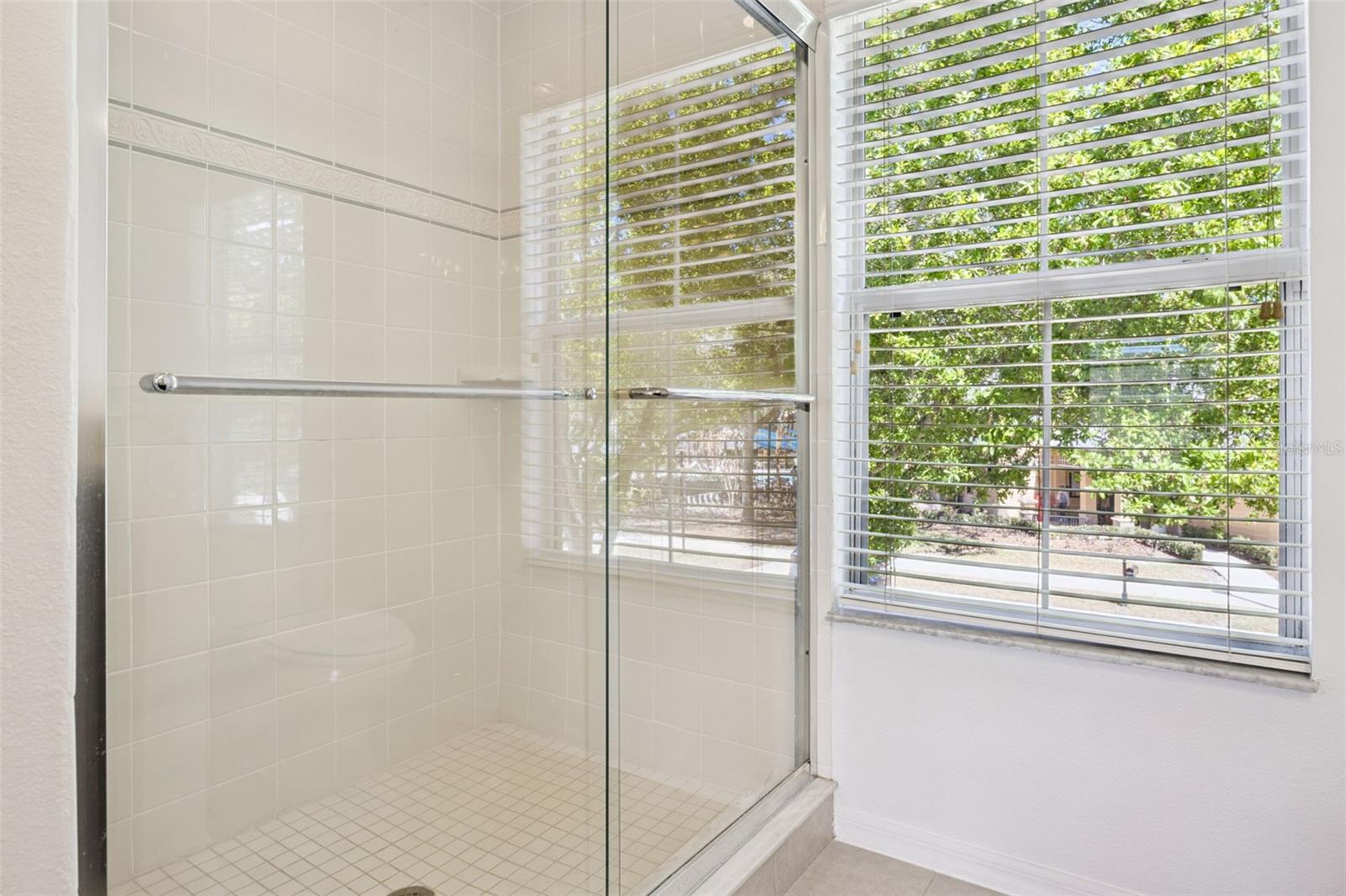 14439 BLUEBIRD PARK RD, WINDERMERE, FL, 34786