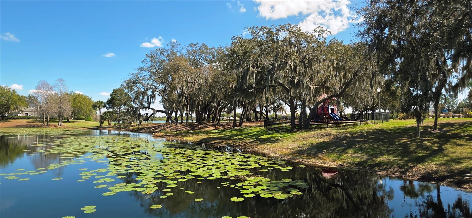 14439 BLUEBIRD PARK RD, WINDERMERE, FL, 34786