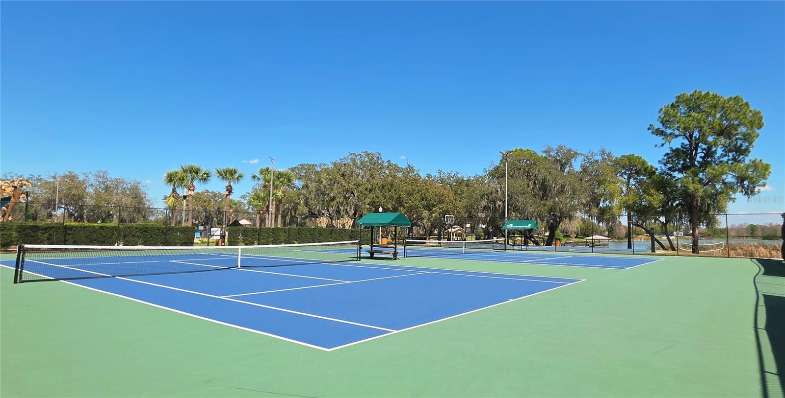 14439 BLUEBIRD PARK RD, WINDERMERE, FL, 34786