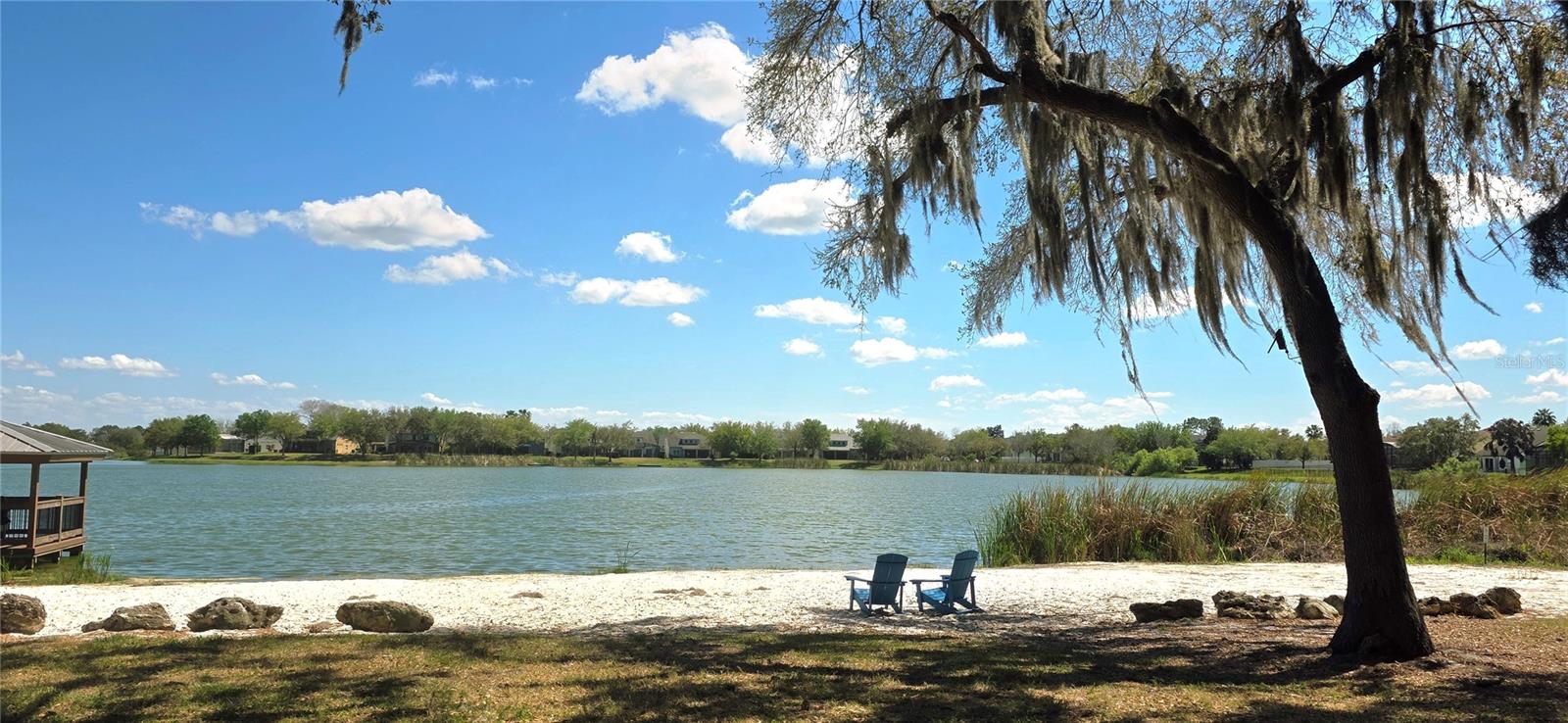 14439 BLUEBIRD PARK RD, WINDERMERE, FL, 34786