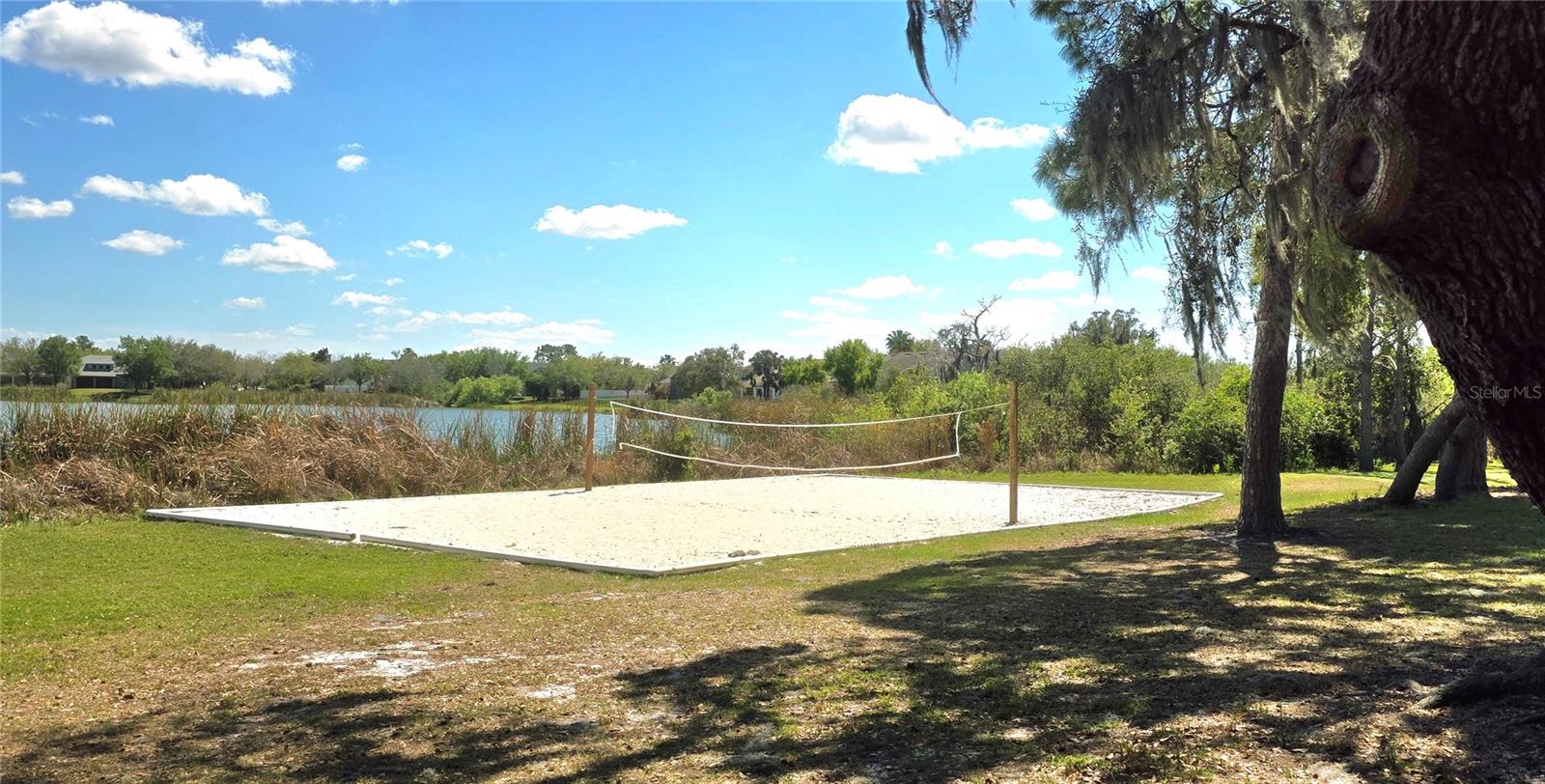 14439 BLUEBIRD PARK RD, WINDERMERE, FL, 34786