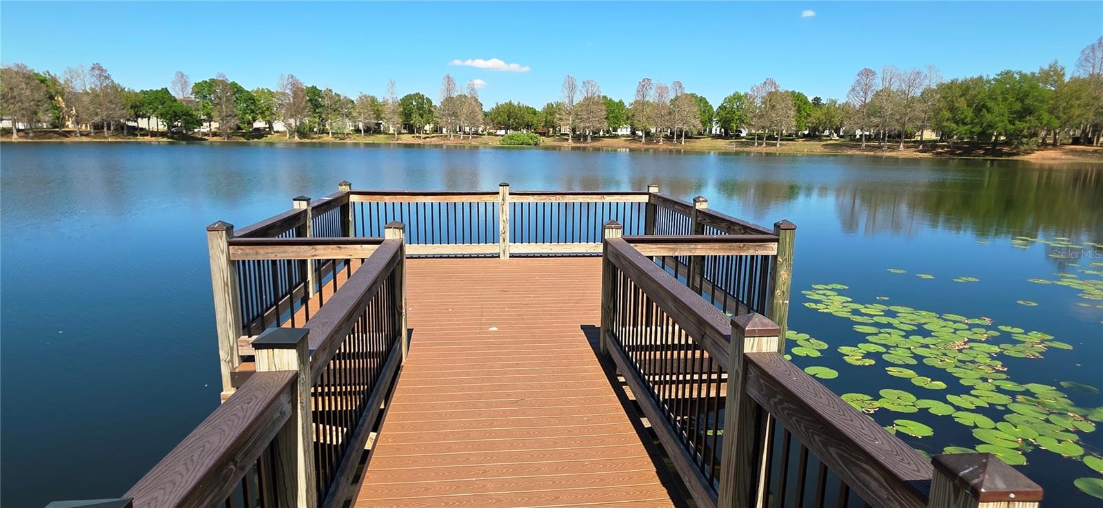 14439 BLUEBIRD PARK RD, WINDERMERE, FL, 34786