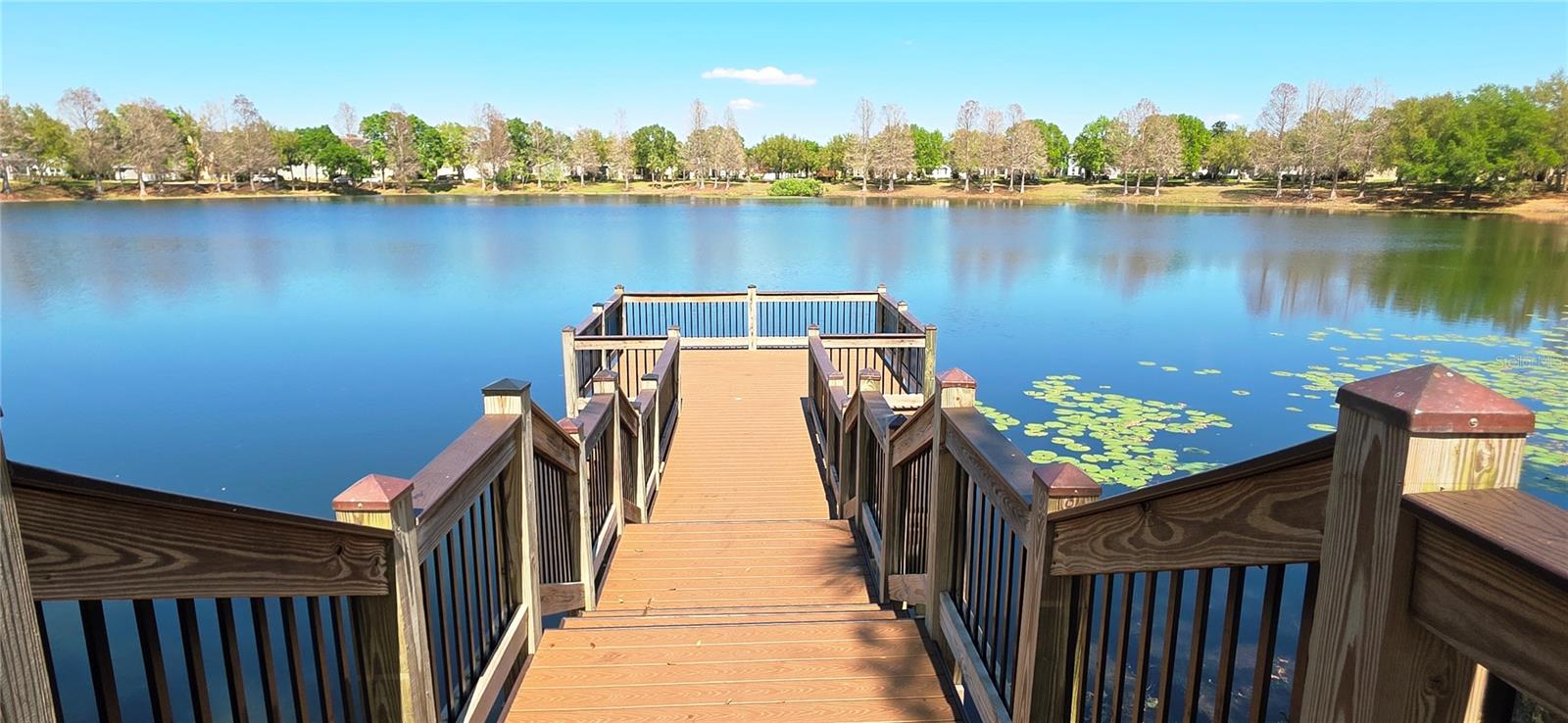 14439 BLUEBIRD PARK RD, WINDERMERE, FL, 34786