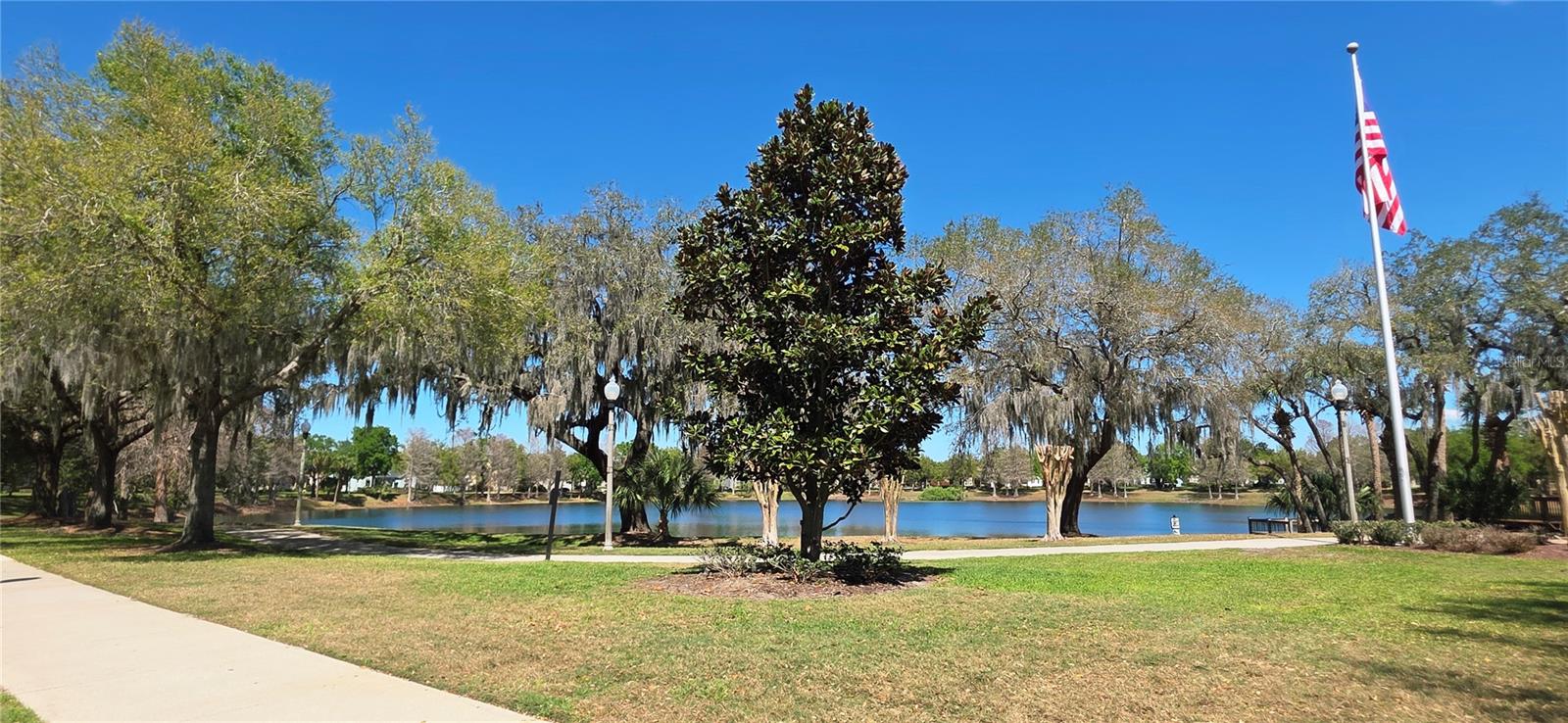 14439 BLUEBIRD PARK RD, WINDERMERE, FL, 34786