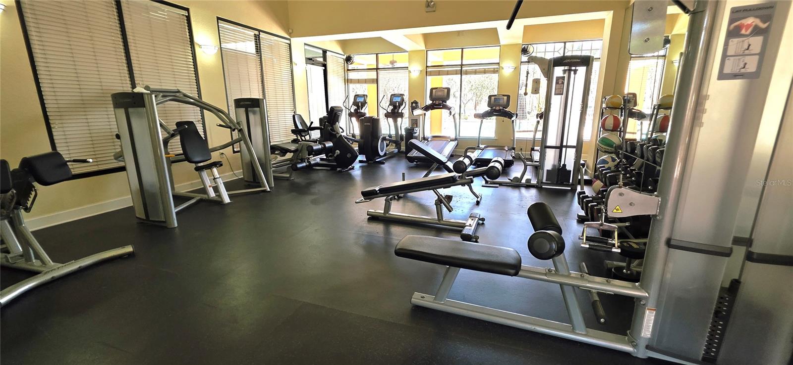 14439 BLUEBIRD PARK RD, WINDERMERE, FL, 34786