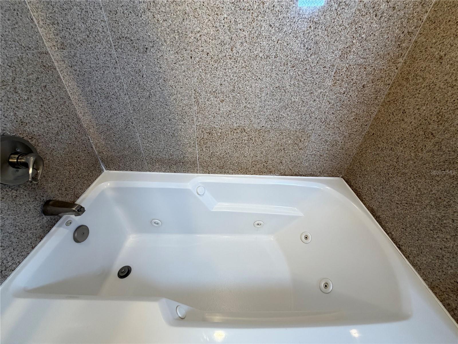 13415 BLUE HERON BEACH DR #1407, ORLANDO, FL, 32821