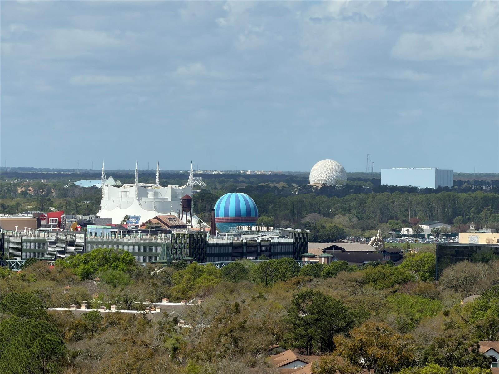 13415 BLUE HERON BEACH DR #1407, ORLANDO, FL, 32821