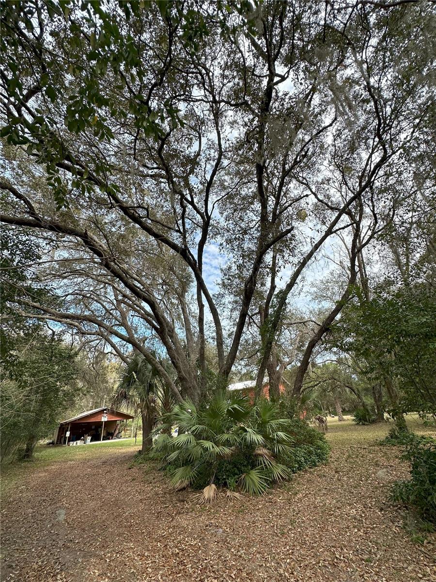 596 STATE ROAD 20, PALATKA, FL, 32177