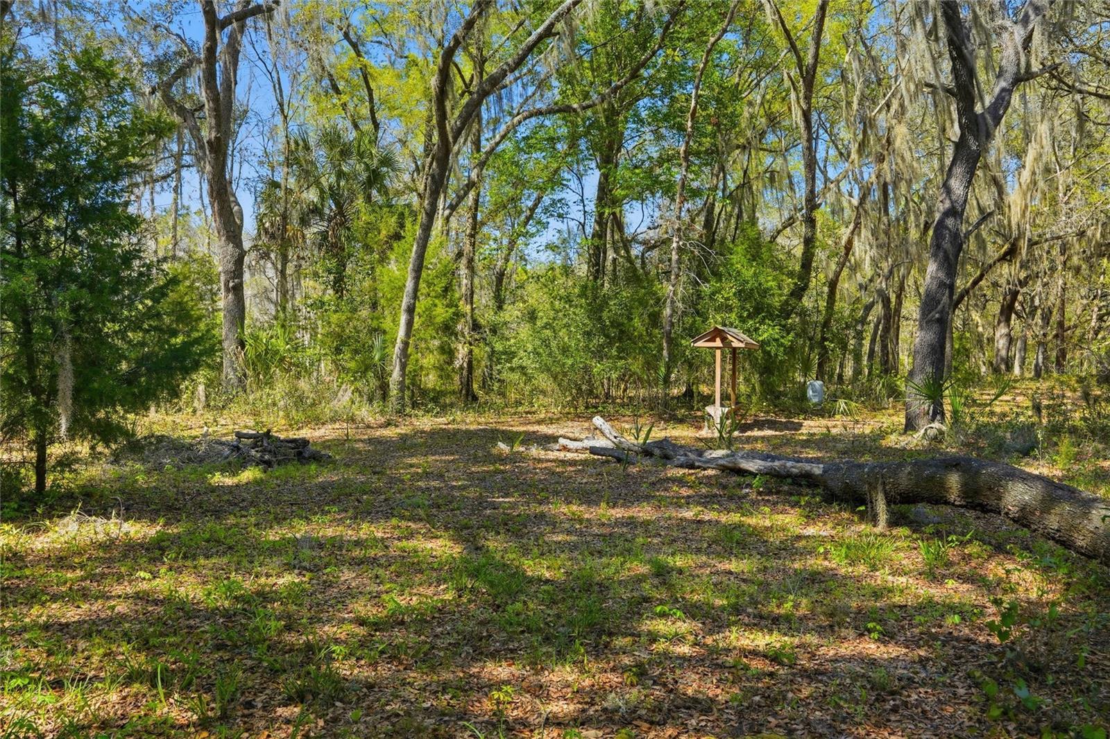 596 STATE ROAD 20, PALATKA, FL, 32177