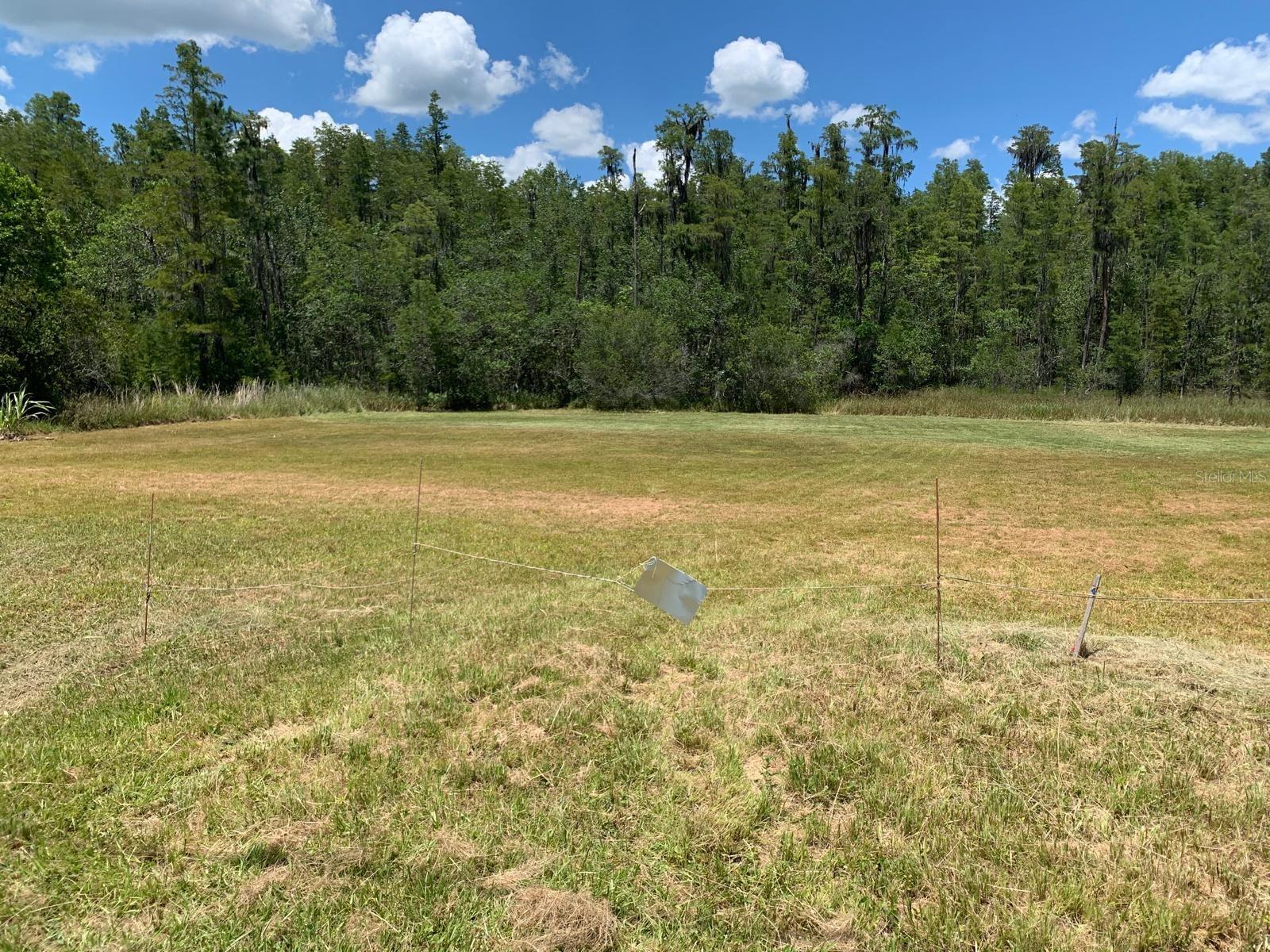 26545 C C LN, WESLEY CHAPEL, FL, 33544