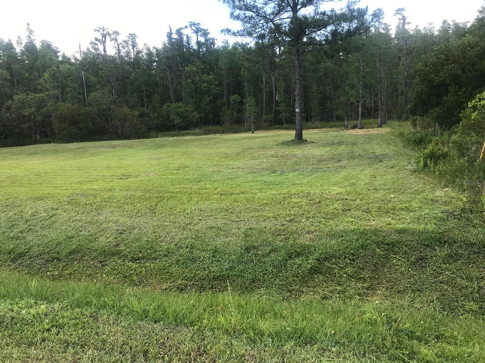 26545 C C LN, WESLEY CHAPEL, FL, 33544