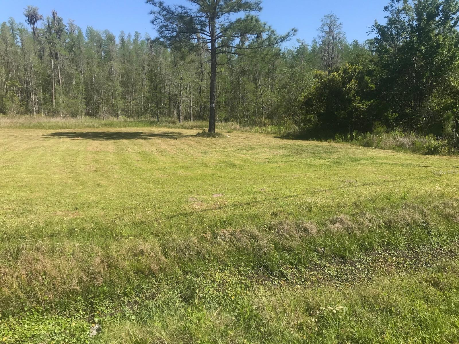 26545 C C LN, WESLEY CHAPEL, FL, 33544