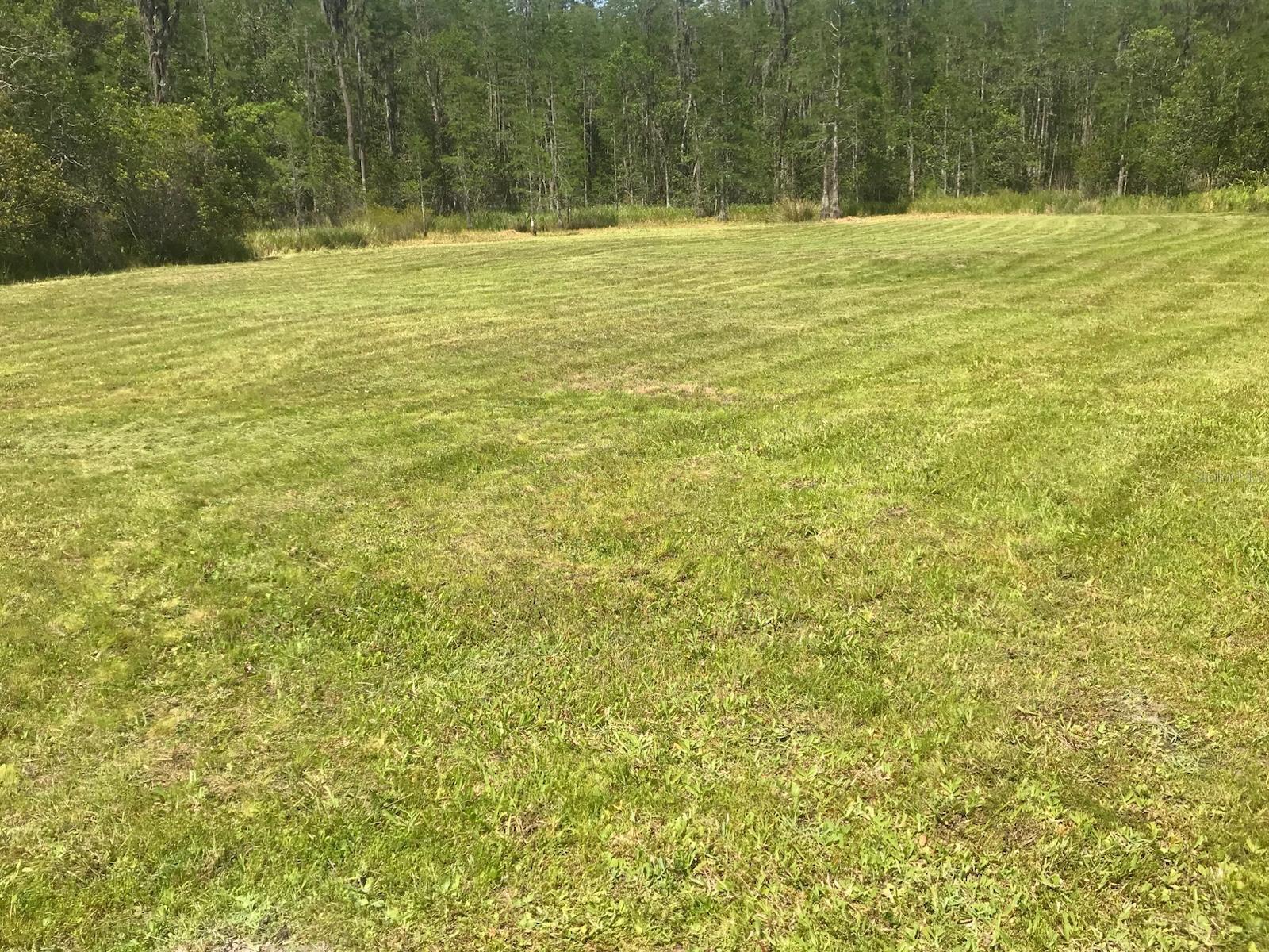 26545 C C LN, WESLEY CHAPEL, FL, 33544